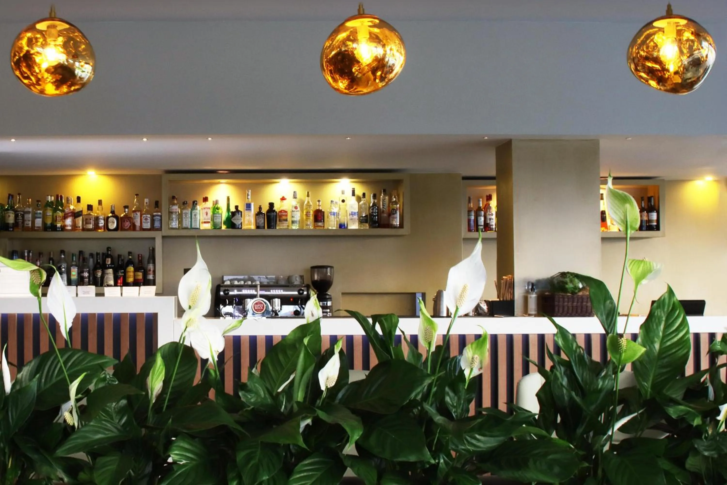 Lounge or bar in Agua Hotels Mondim de Basto