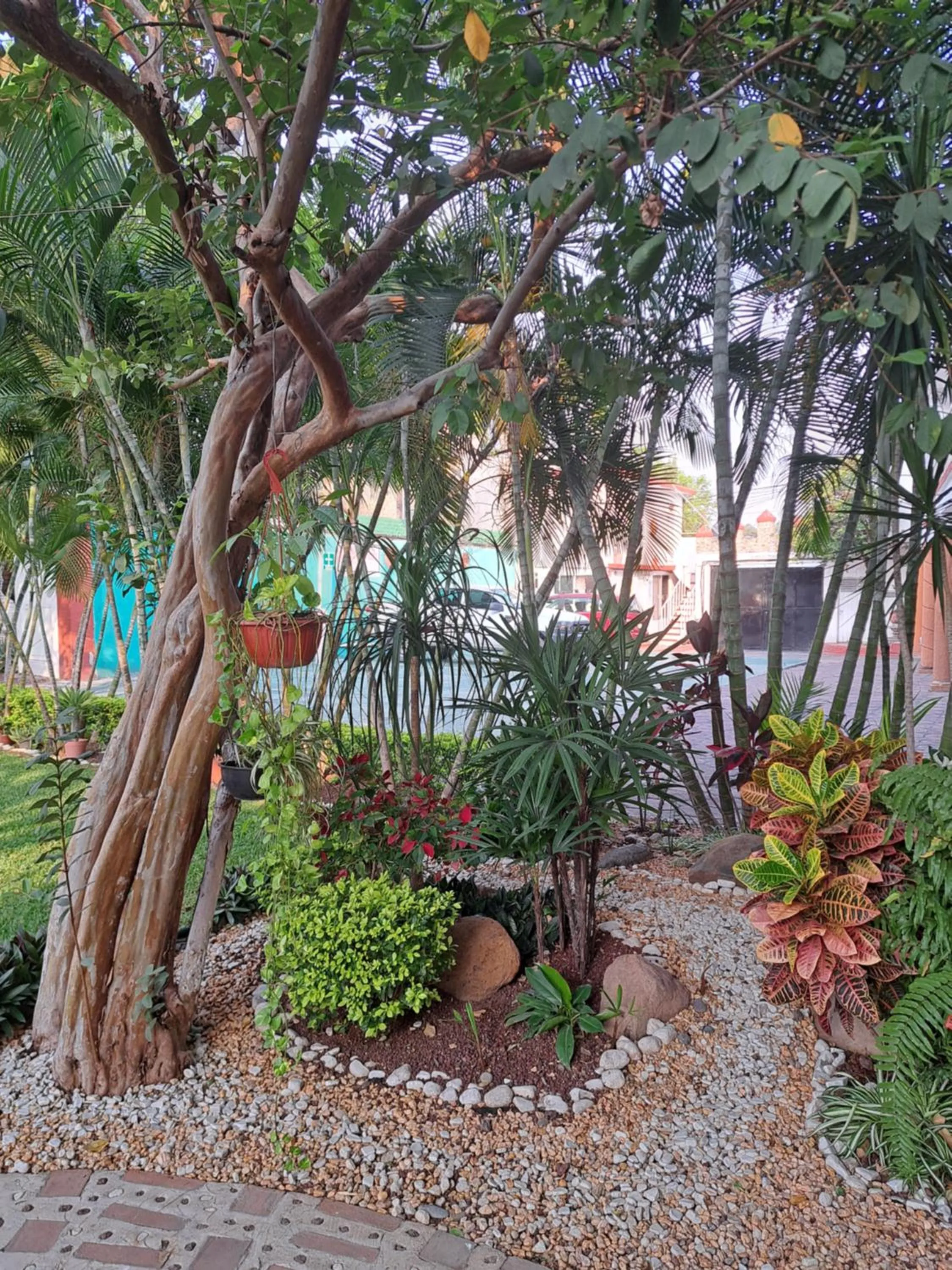 Garden in Hotel Quinta Paraiso