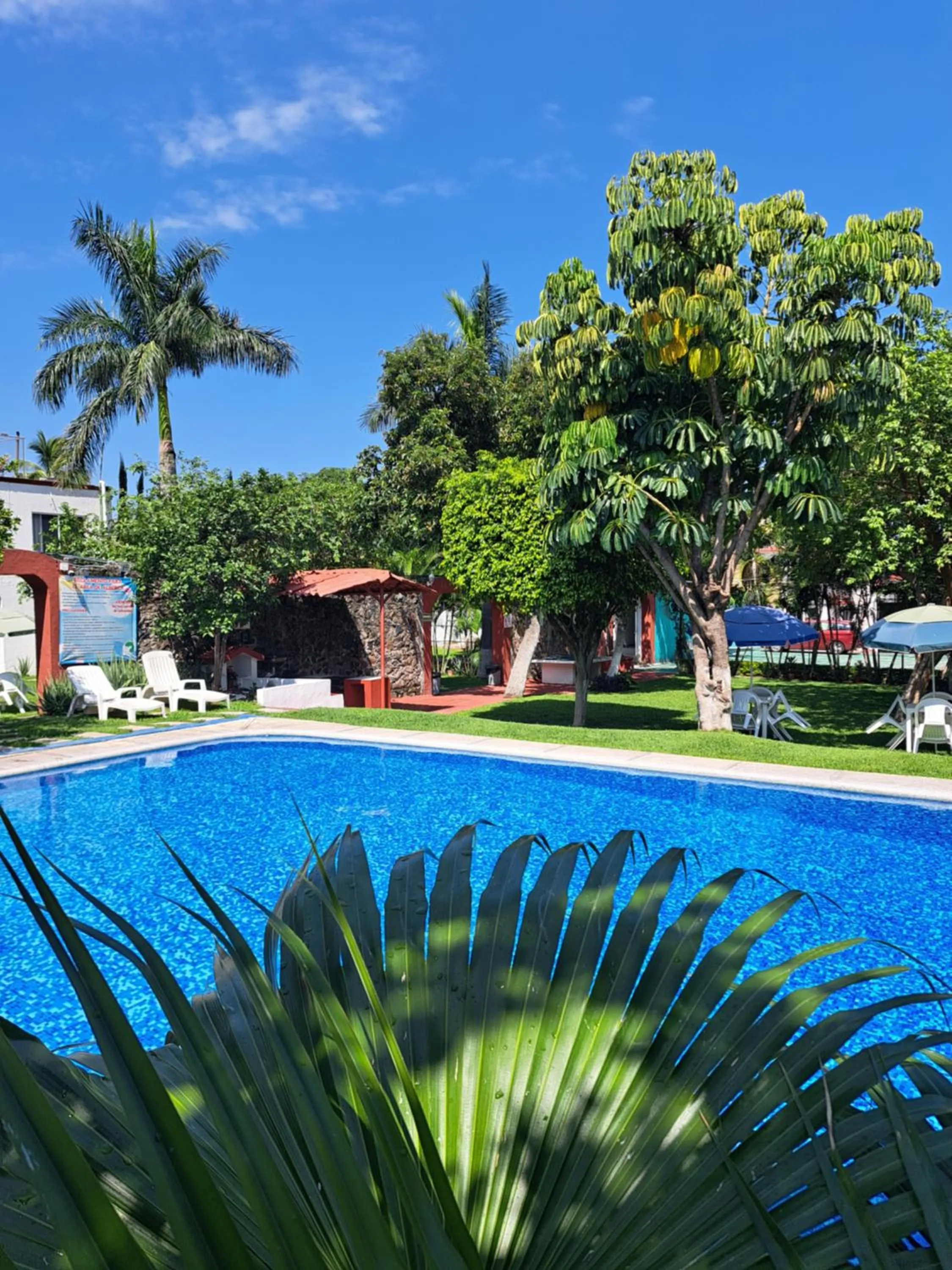Swimming pool in Hotel Quinta Paraiso