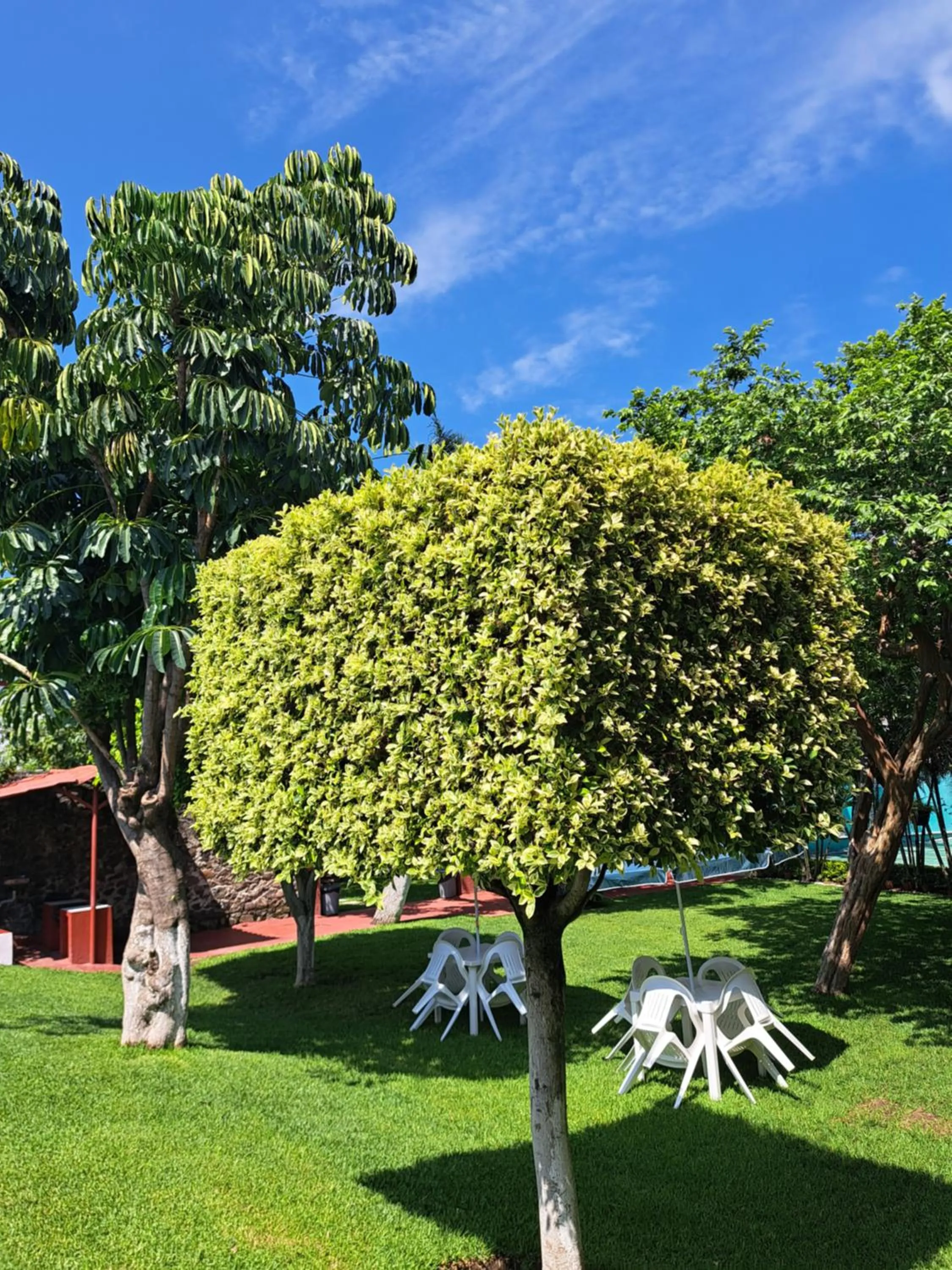 Garden view in Hotel Quinta Paraiso
