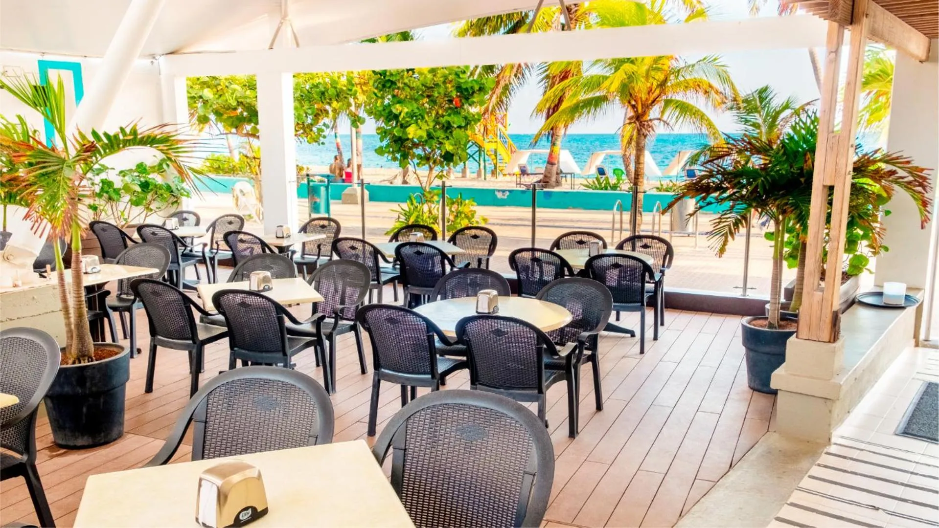 Restaurant/places to eat in Hotel Portobelo boulevard