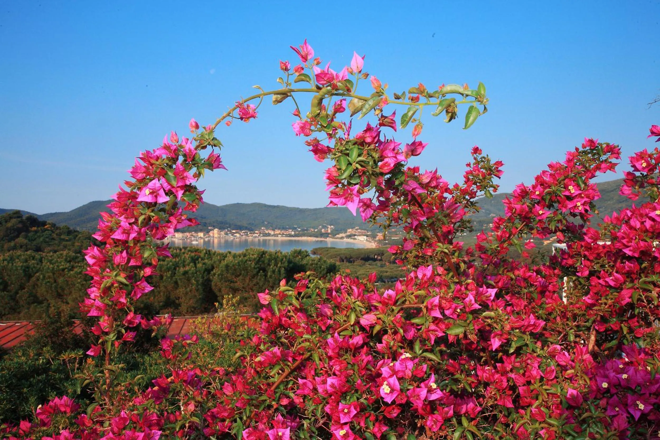 Facade/entrance in Hotel Marina 2