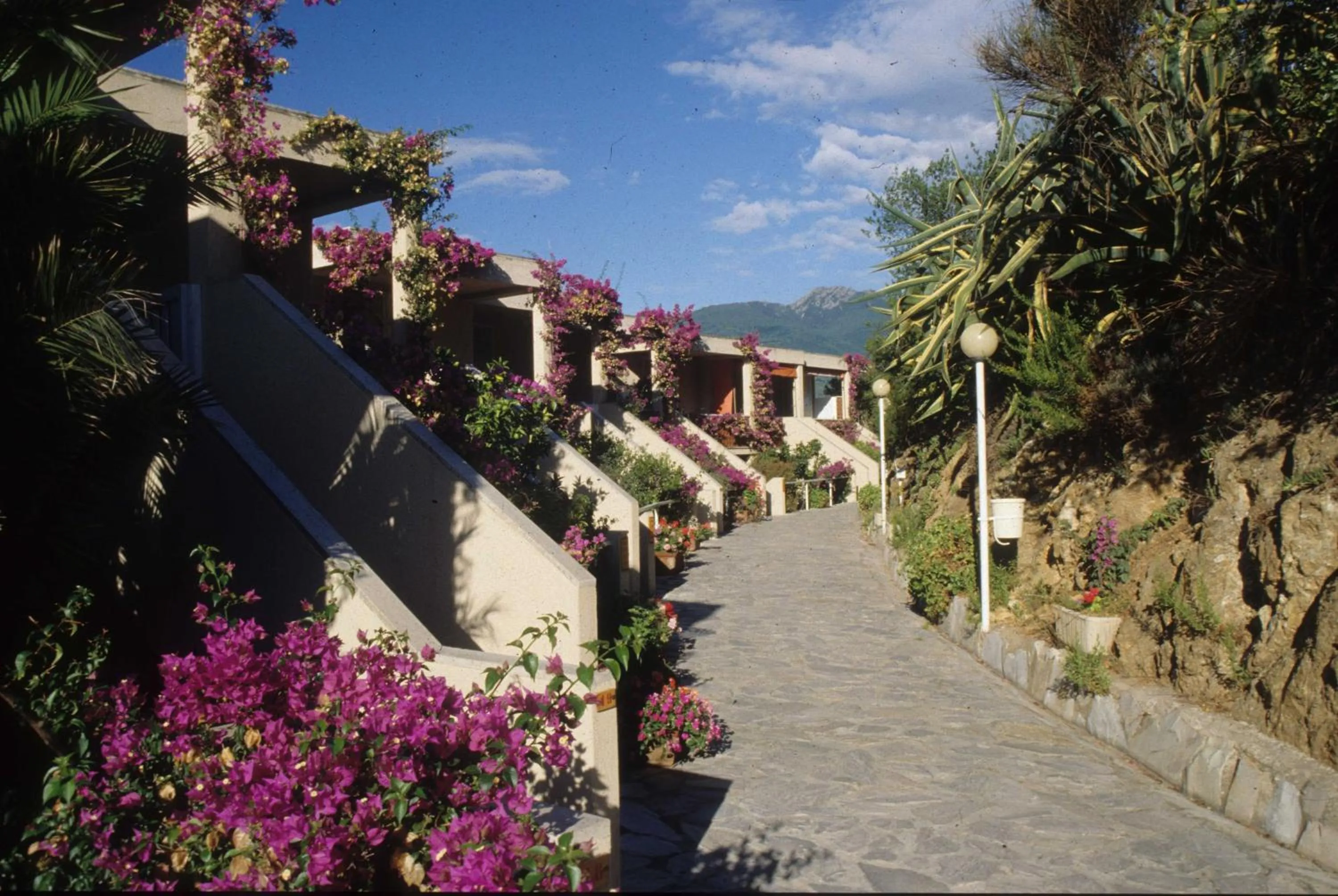Facade/entrance in Hotel Marina 2