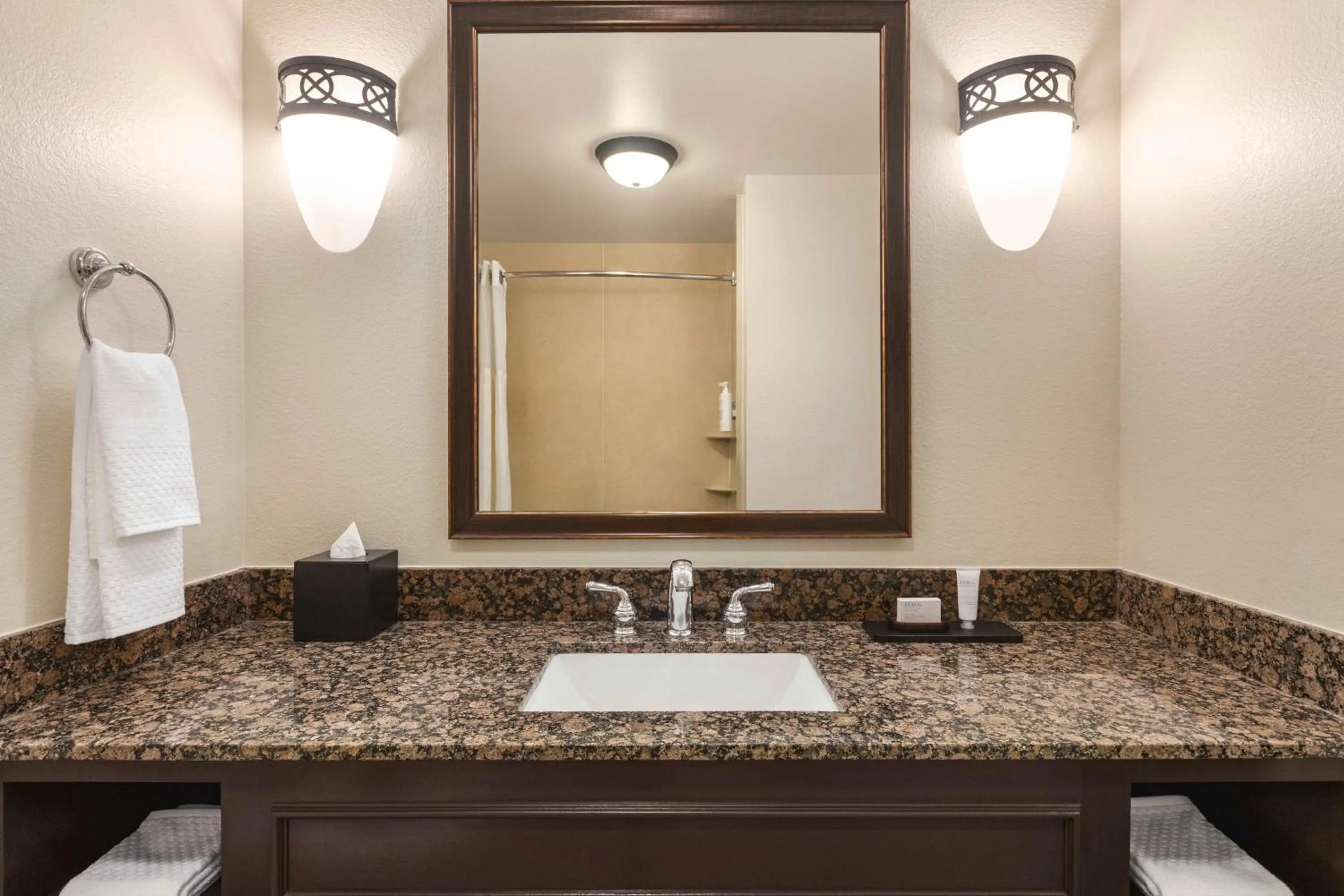 Bathroom in Embassy Suites by Hilton Orlando Lake Buena Vista South