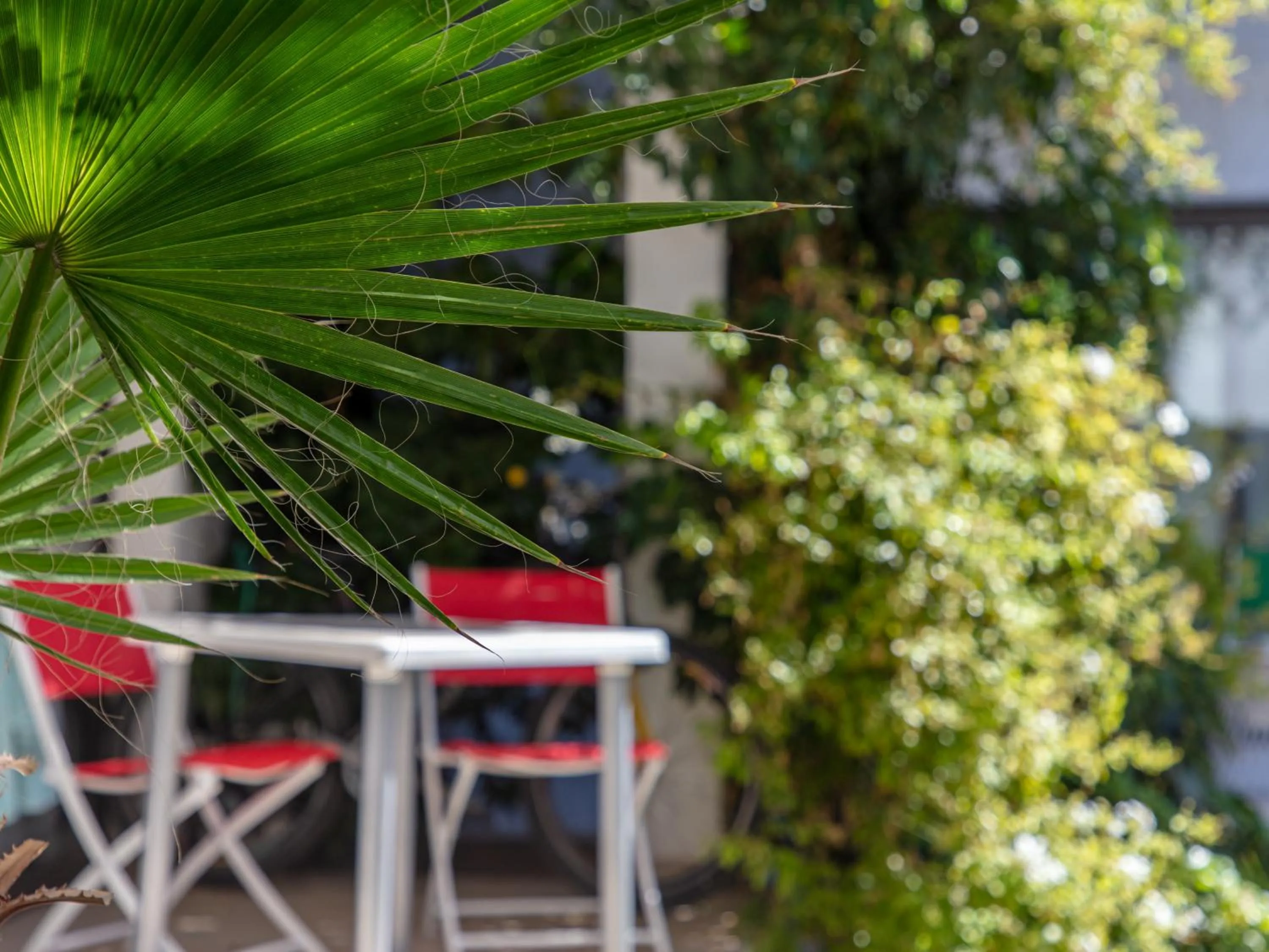 Garden view in Paradise Departamentos