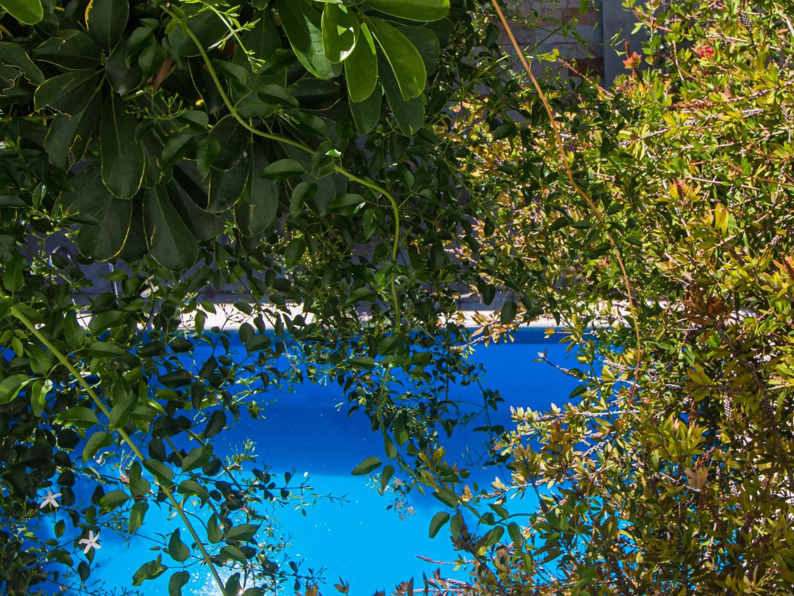 Swimming pool in Paradise Departamentos