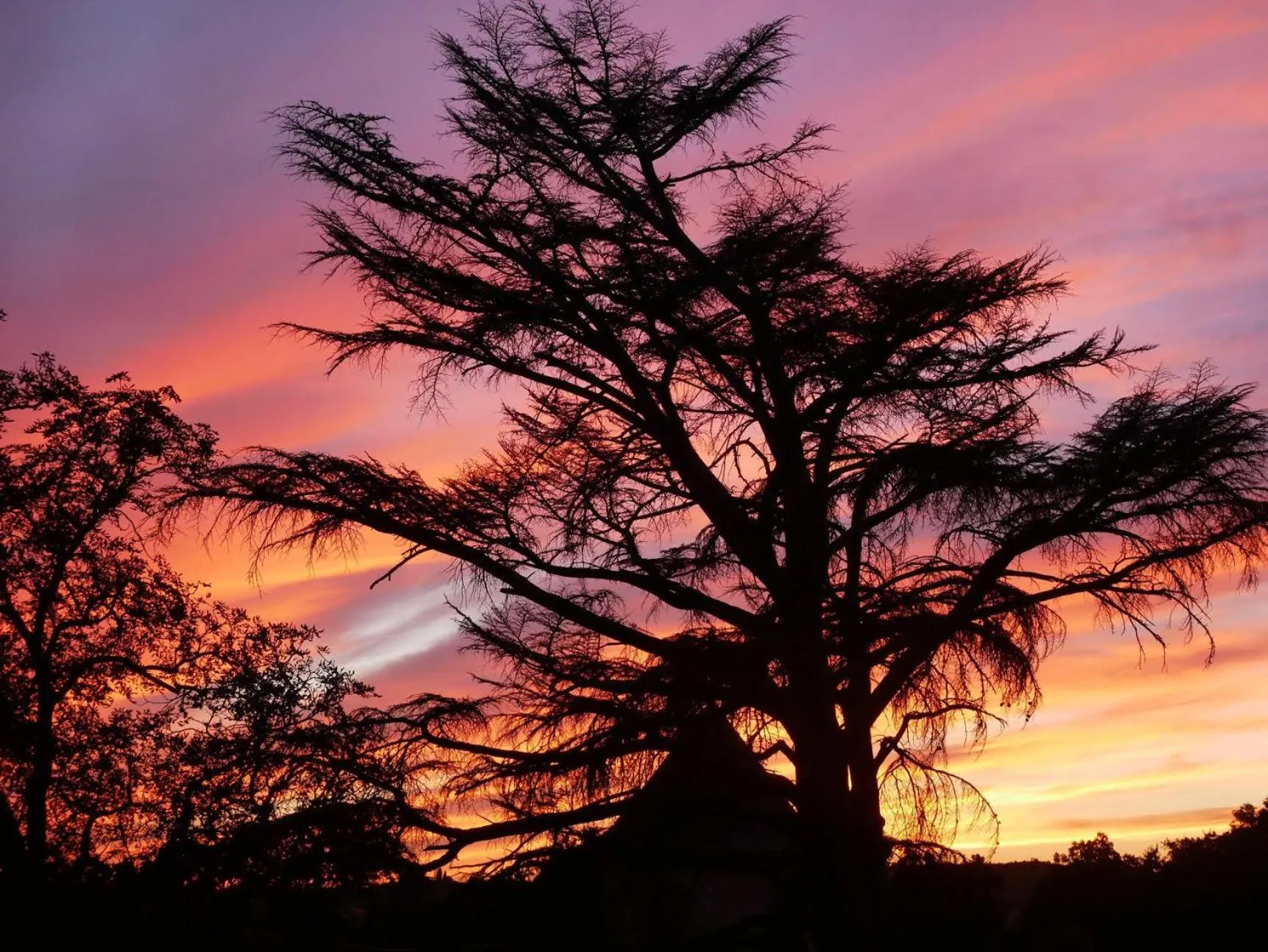 Garden view in Château de Tauzies, The Originals Relais