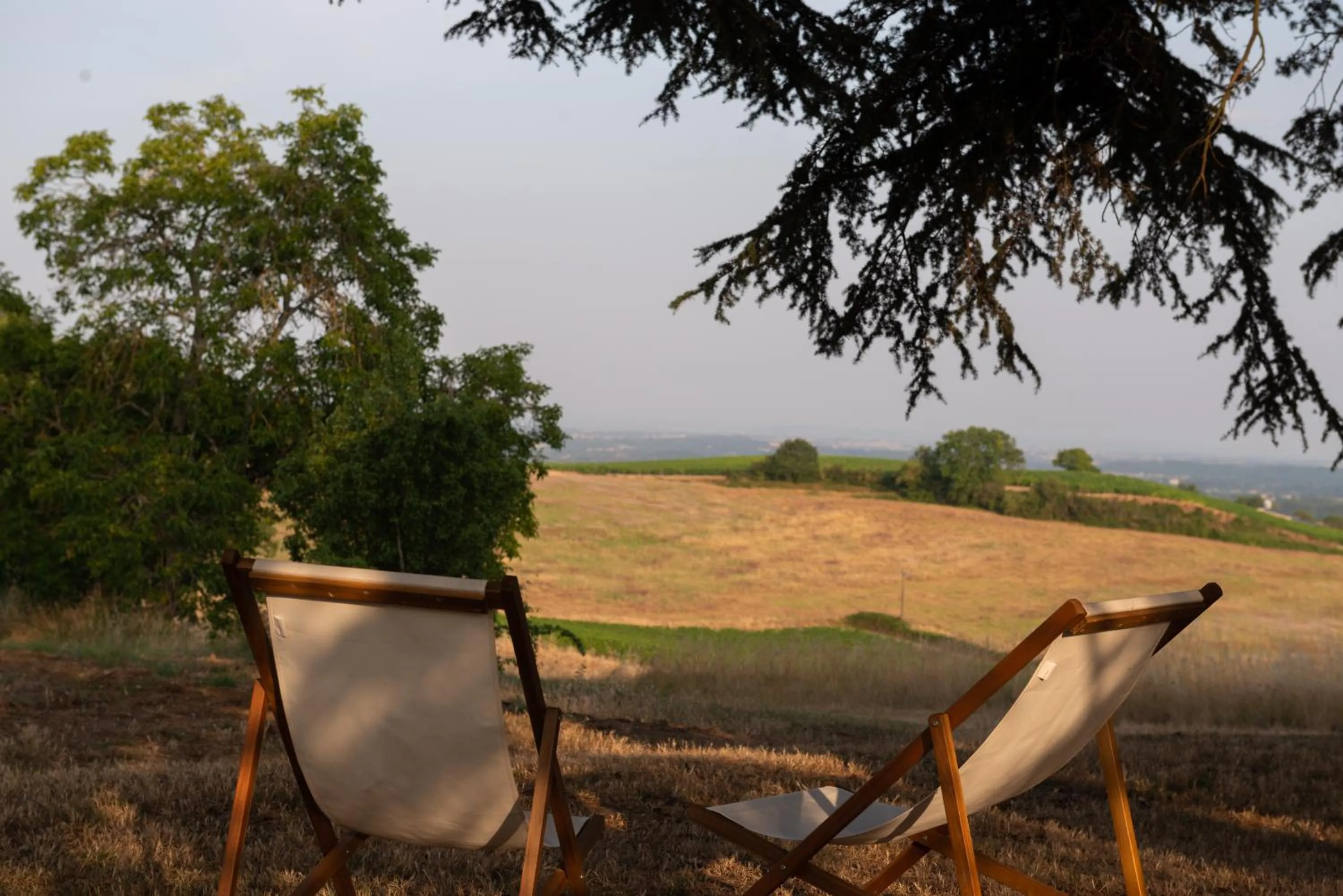 Garden in Château de Tauzies, The Originals Relais