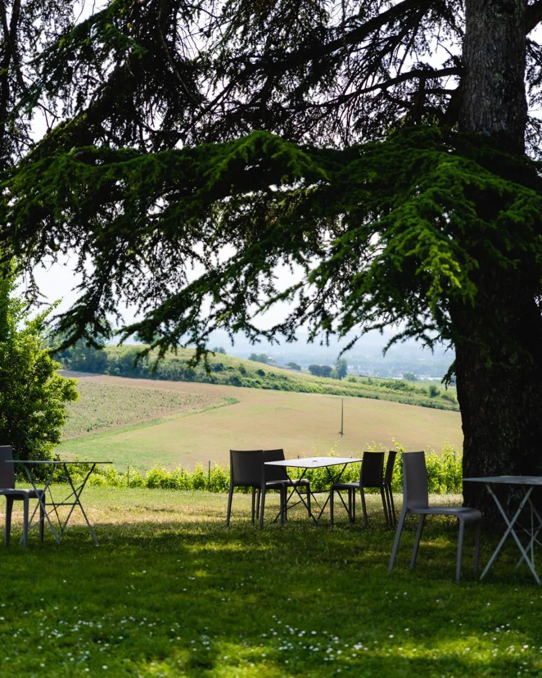 Garden in Château de Tauzies, The Originals Relais