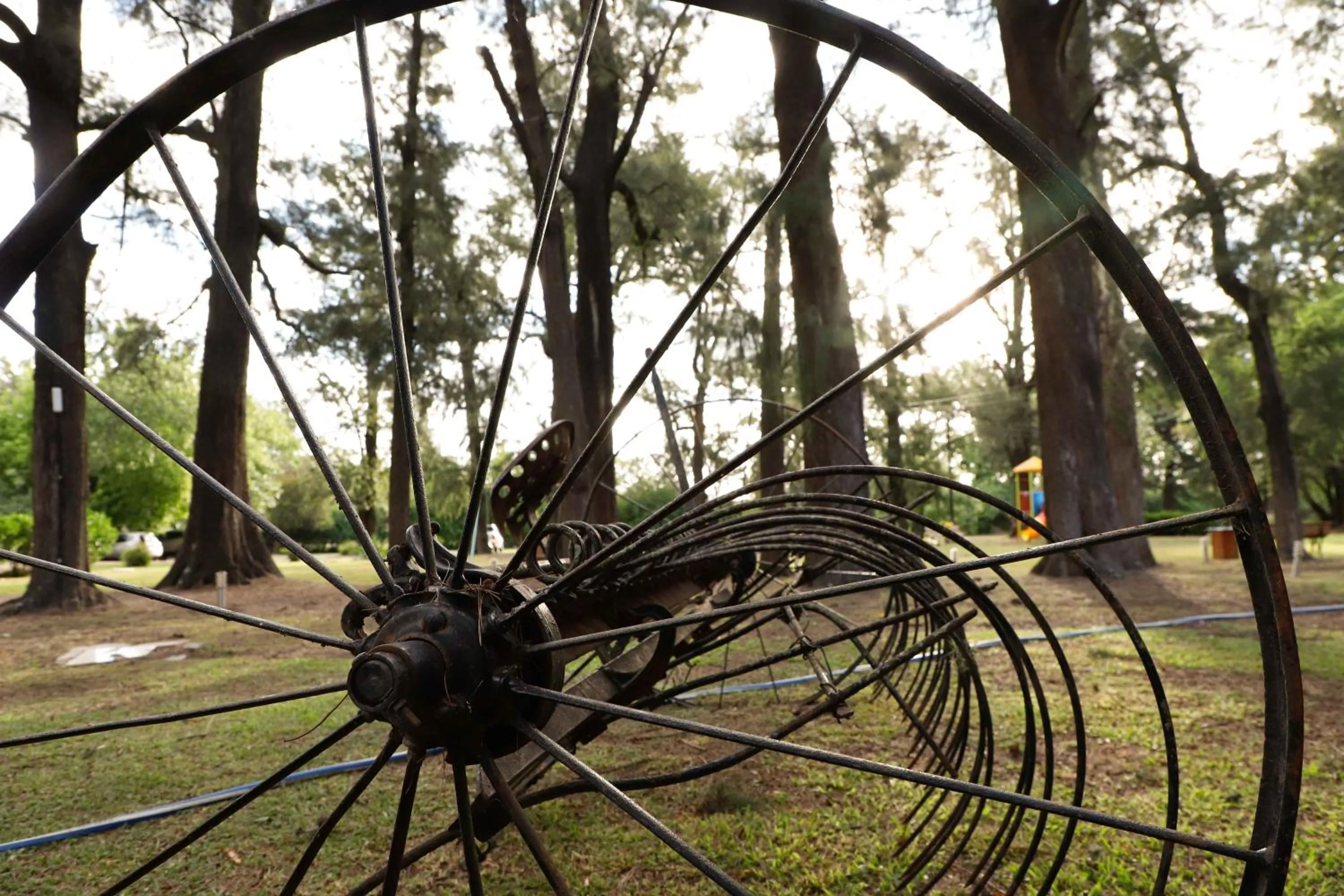 Garden view in Howard Johnson Resort & Spa Escobar