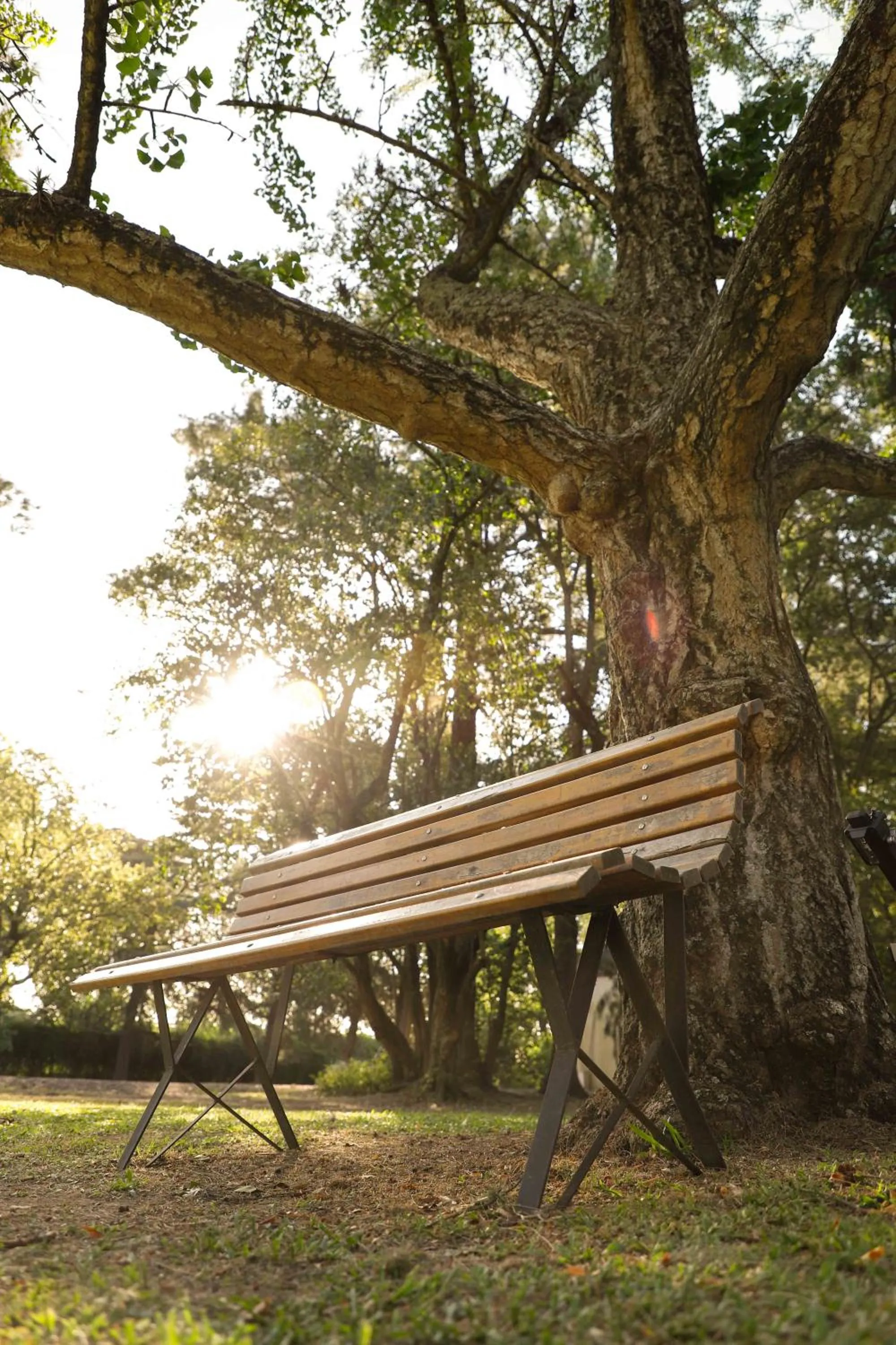 Garden in Howard Johnson Resort & Spa Escobar