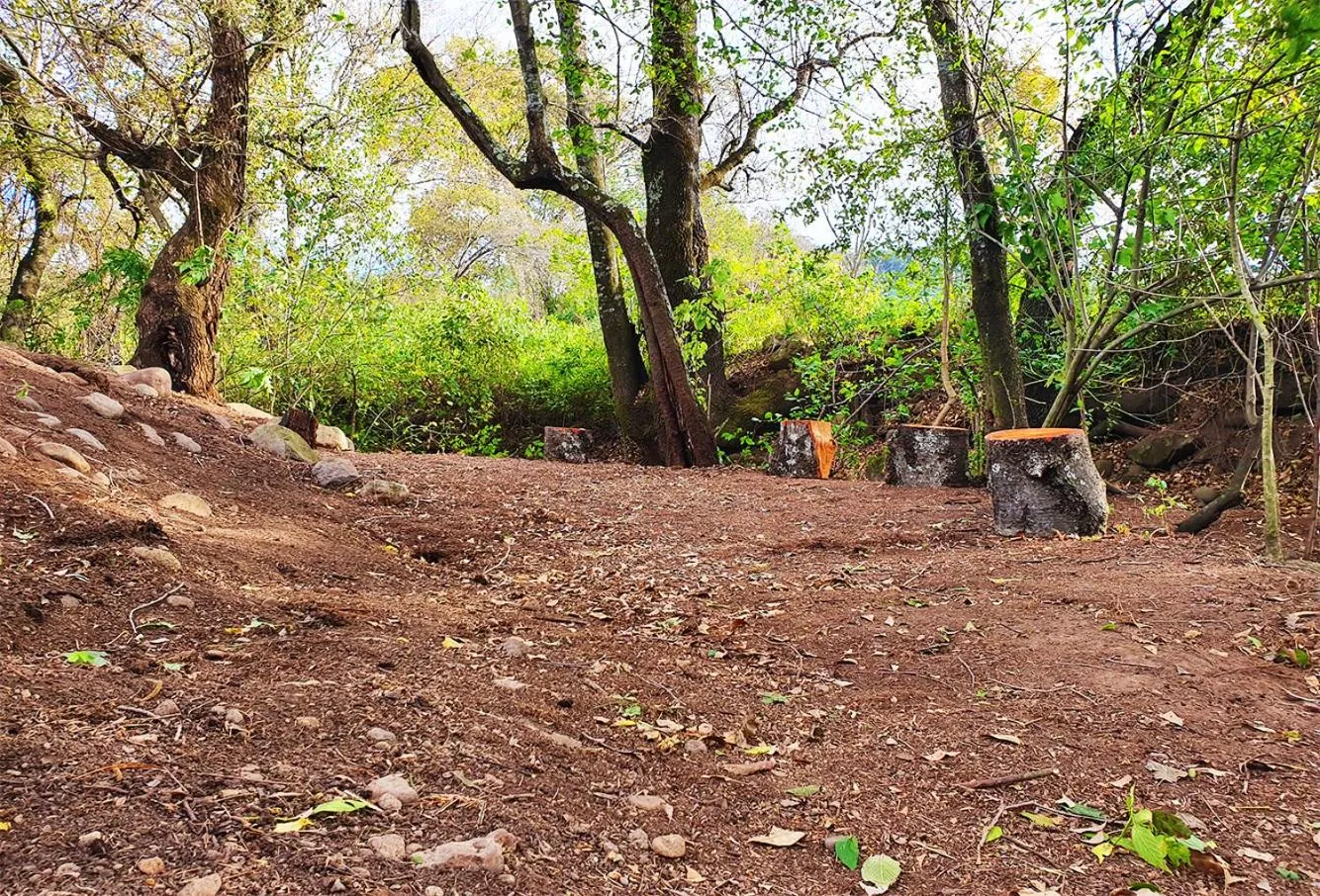 Natural landscape in Senda Monarca