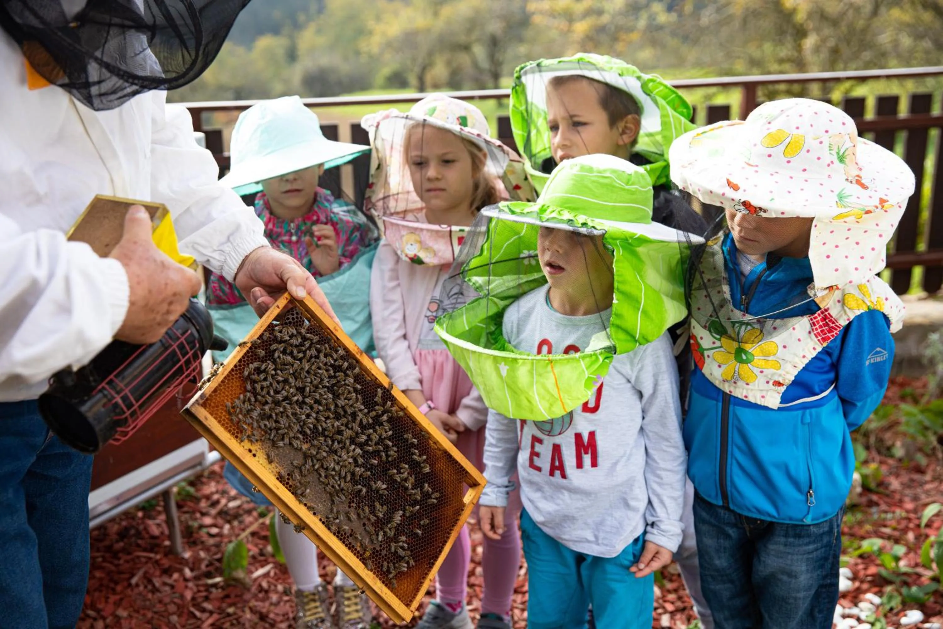 Activities in Hotel Thermana Park Laško**** Superior