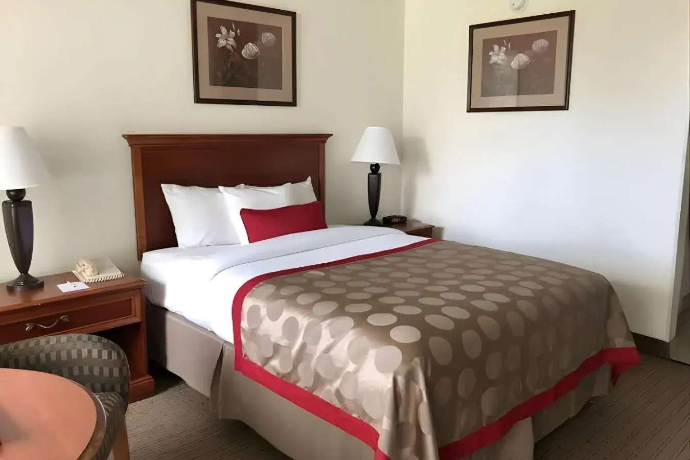 Standard Queen Room - single occupancy in Iberia House & Suites Standard Queen Room - single occupancy in Iberia House & Suites