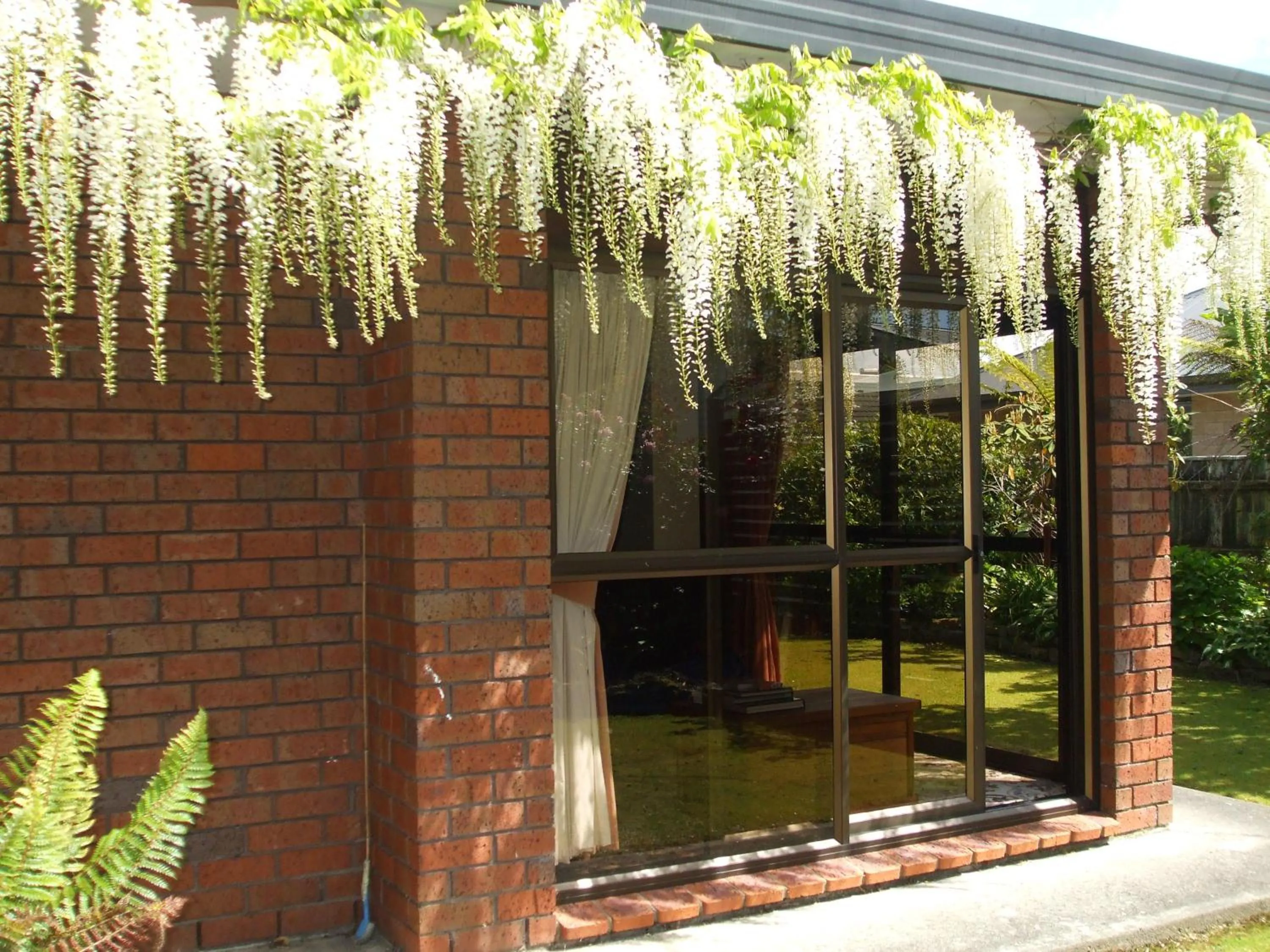 Garden in Havenlee Homestay