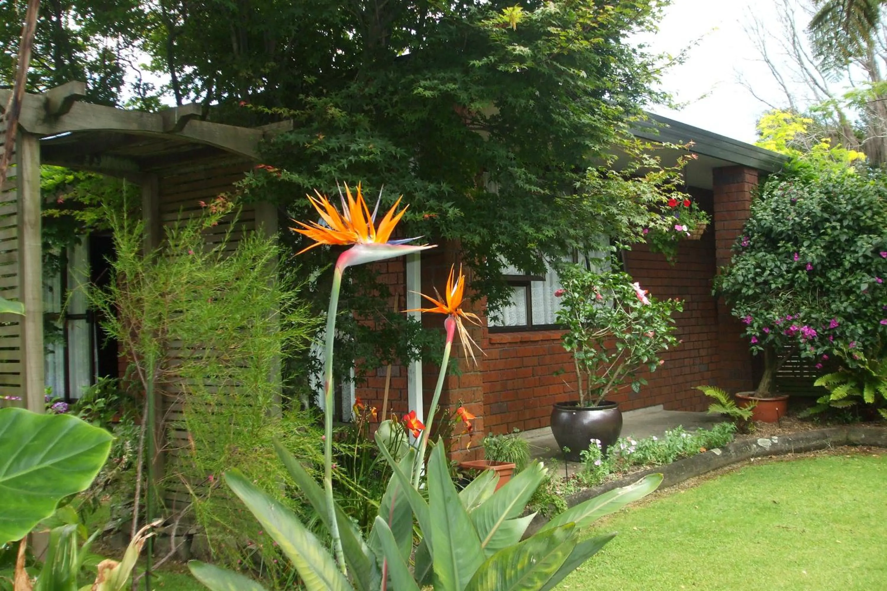 Garden in Havenlee Homestay