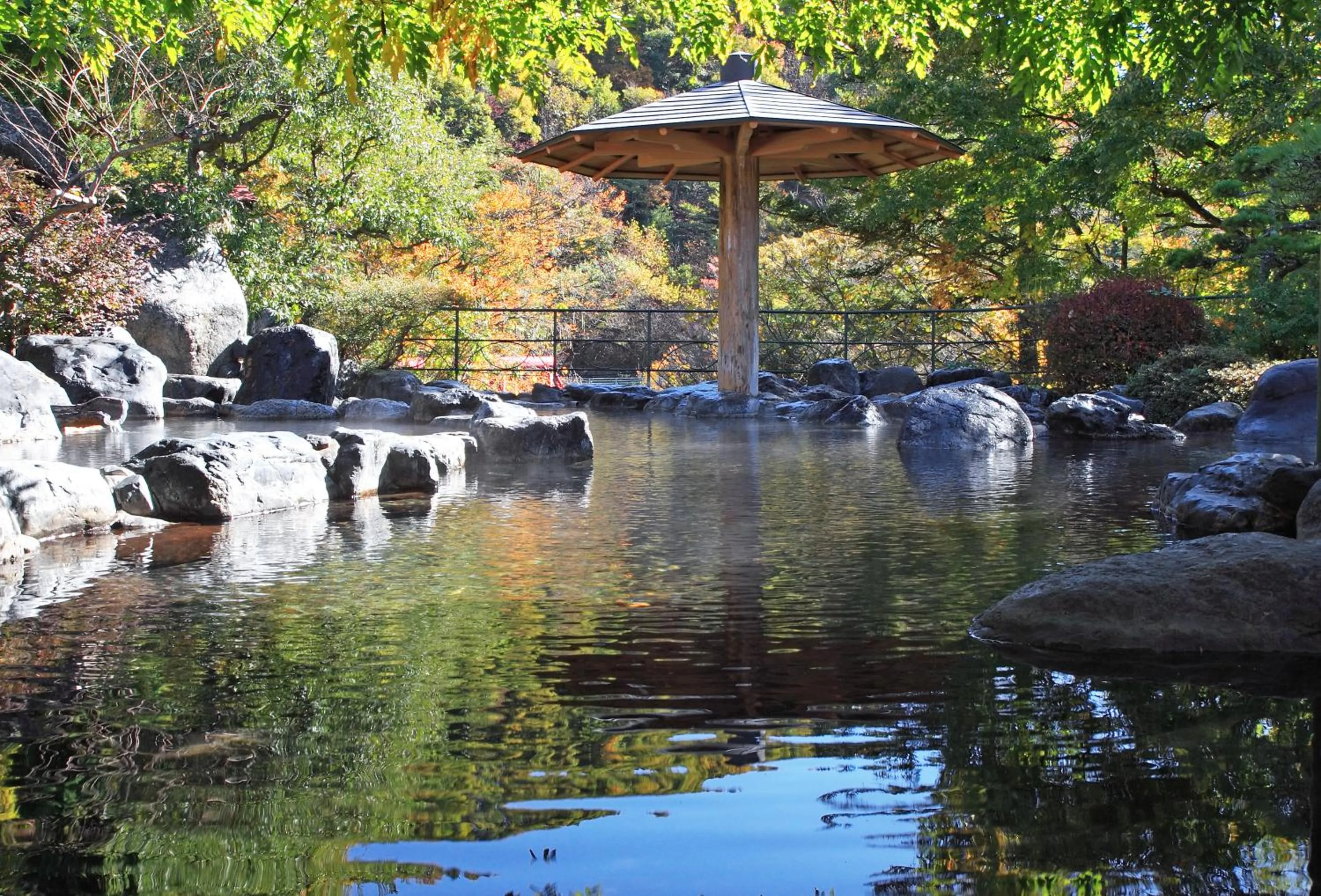 Hot Spring Bath in Sarugakyo Hotel