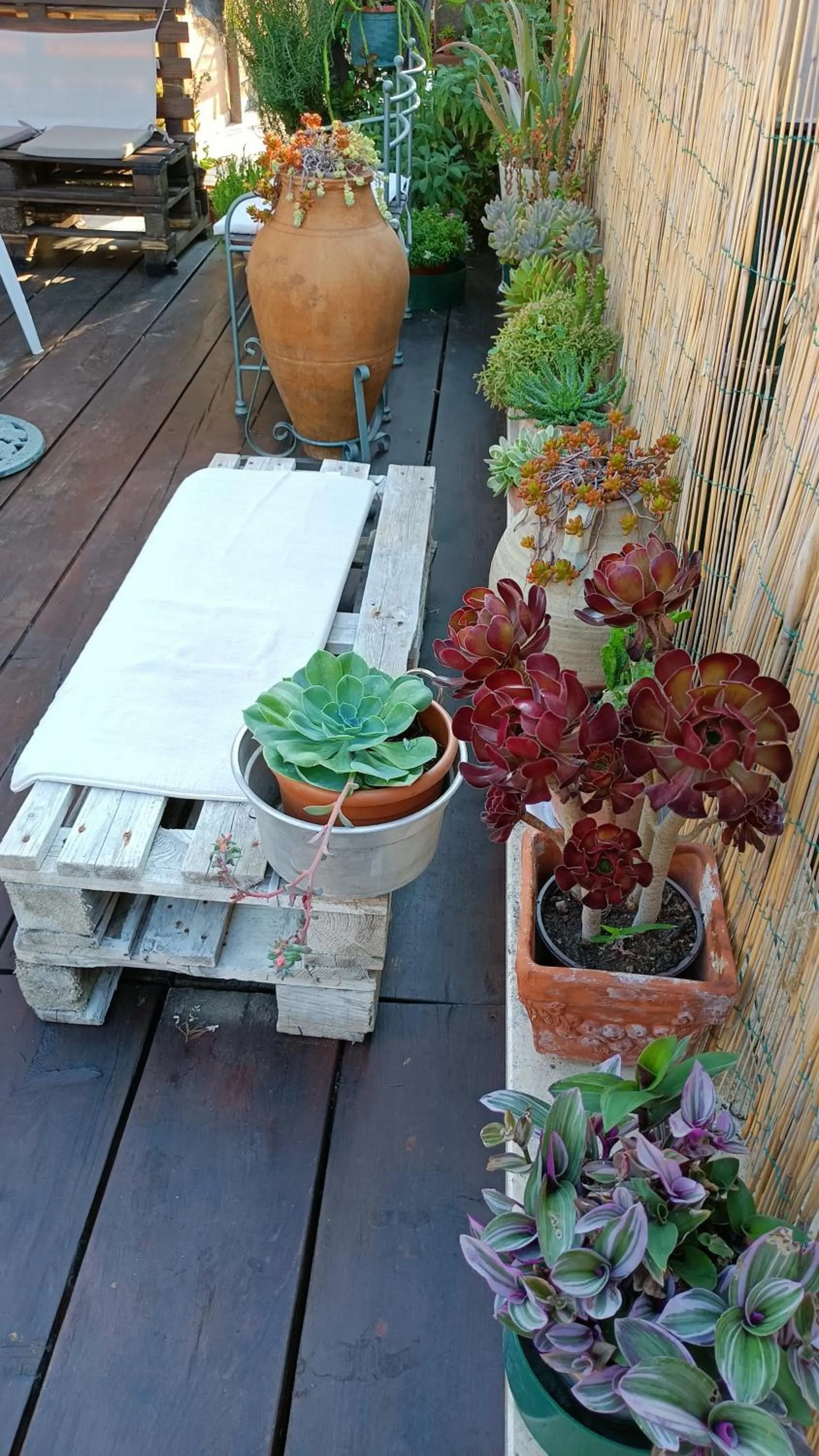 La casa di Primo