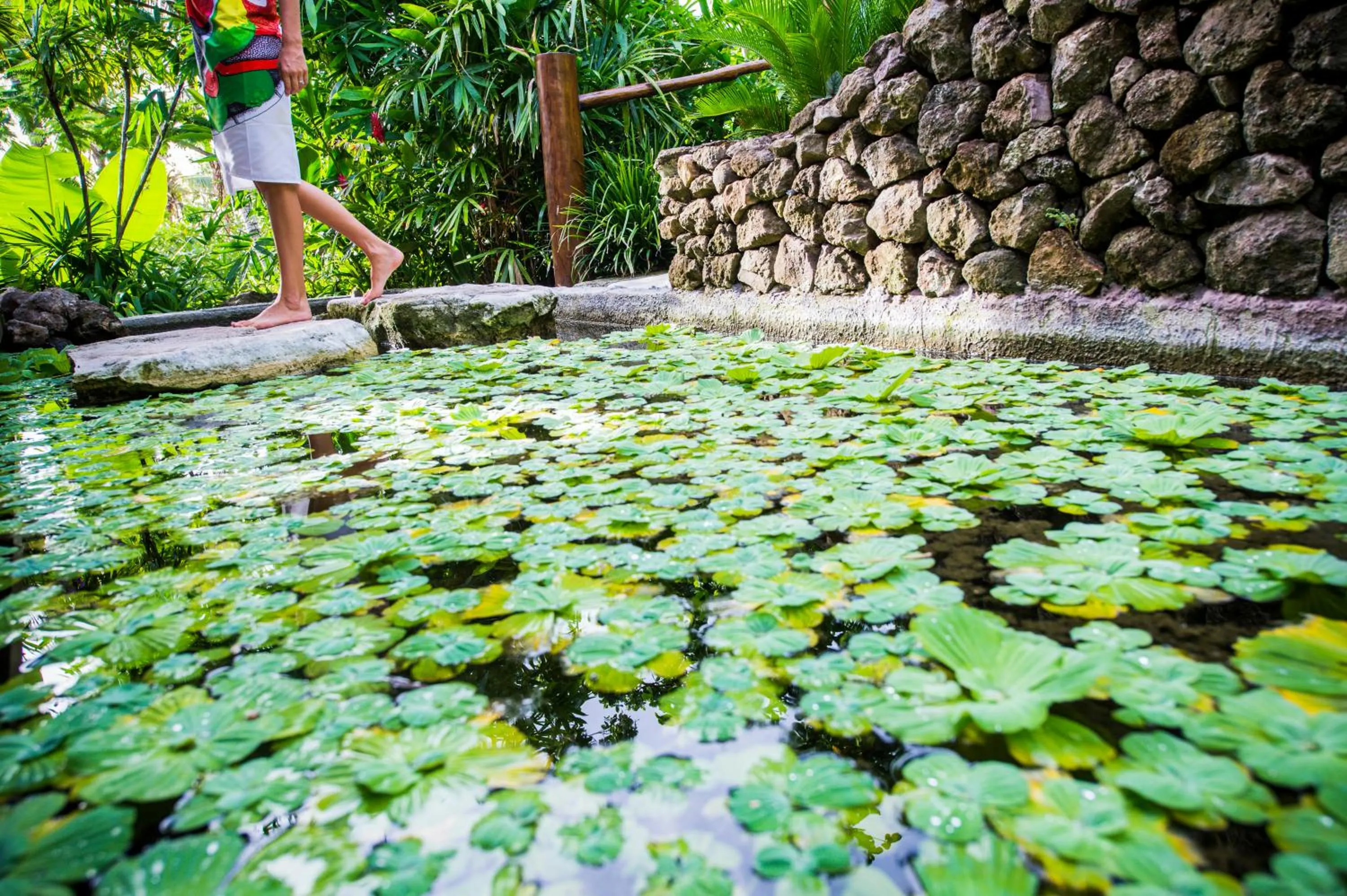 Massage in Tokoriki Island Resort Adults-Only