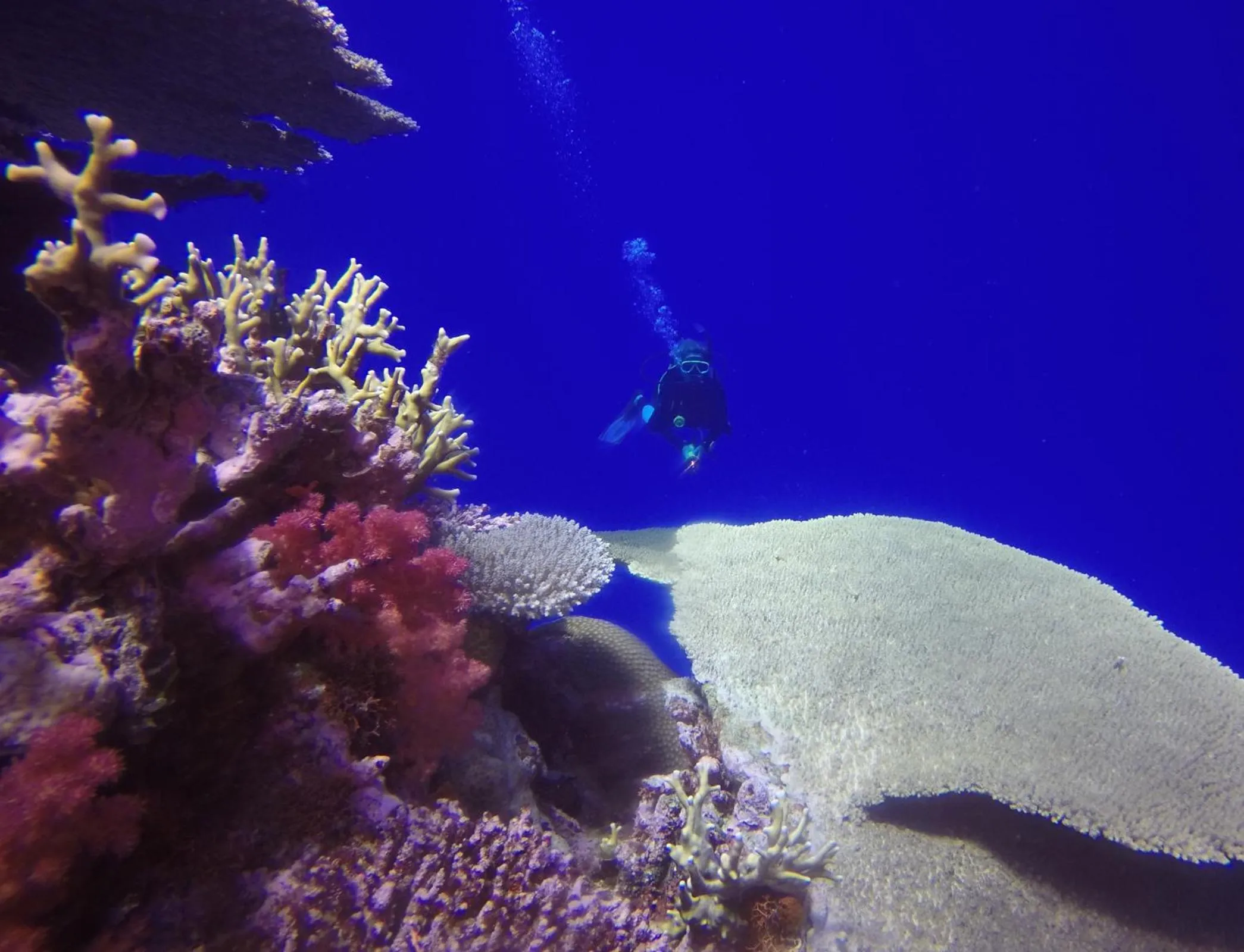 Diving in Tokoriki Island Resort Adults-Only