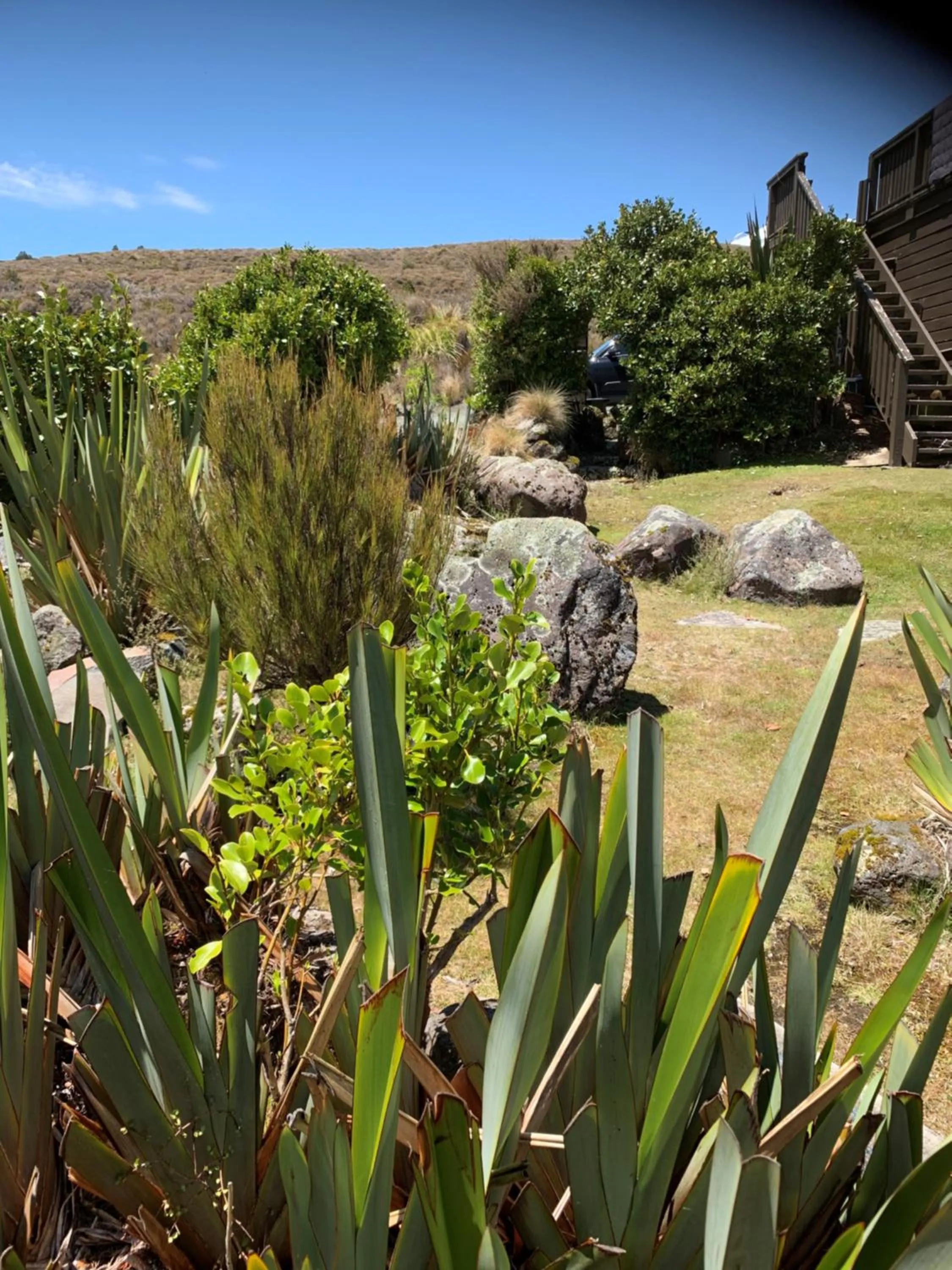 Garden in Skotel Alpine Resort