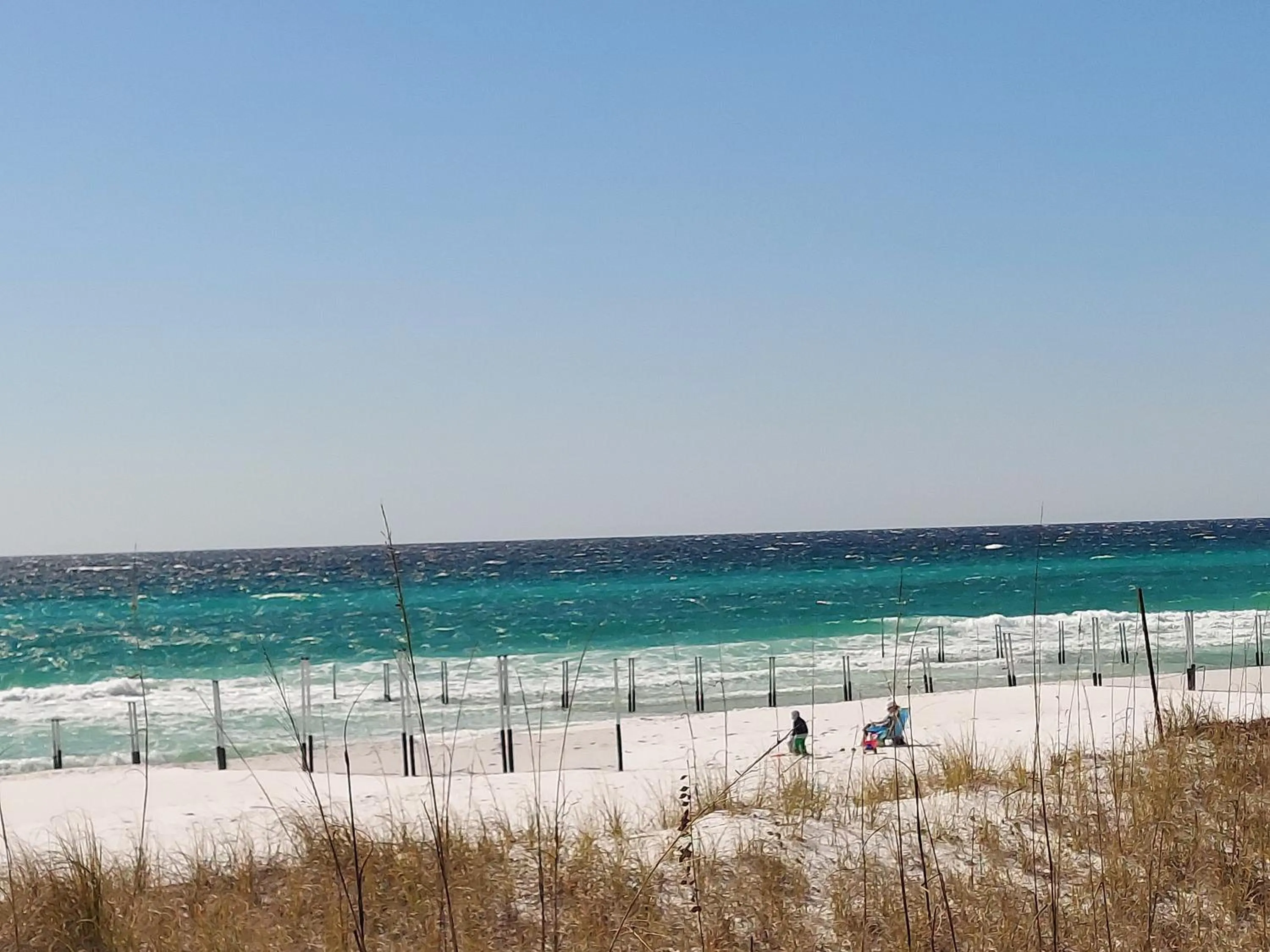 Destin Daydream