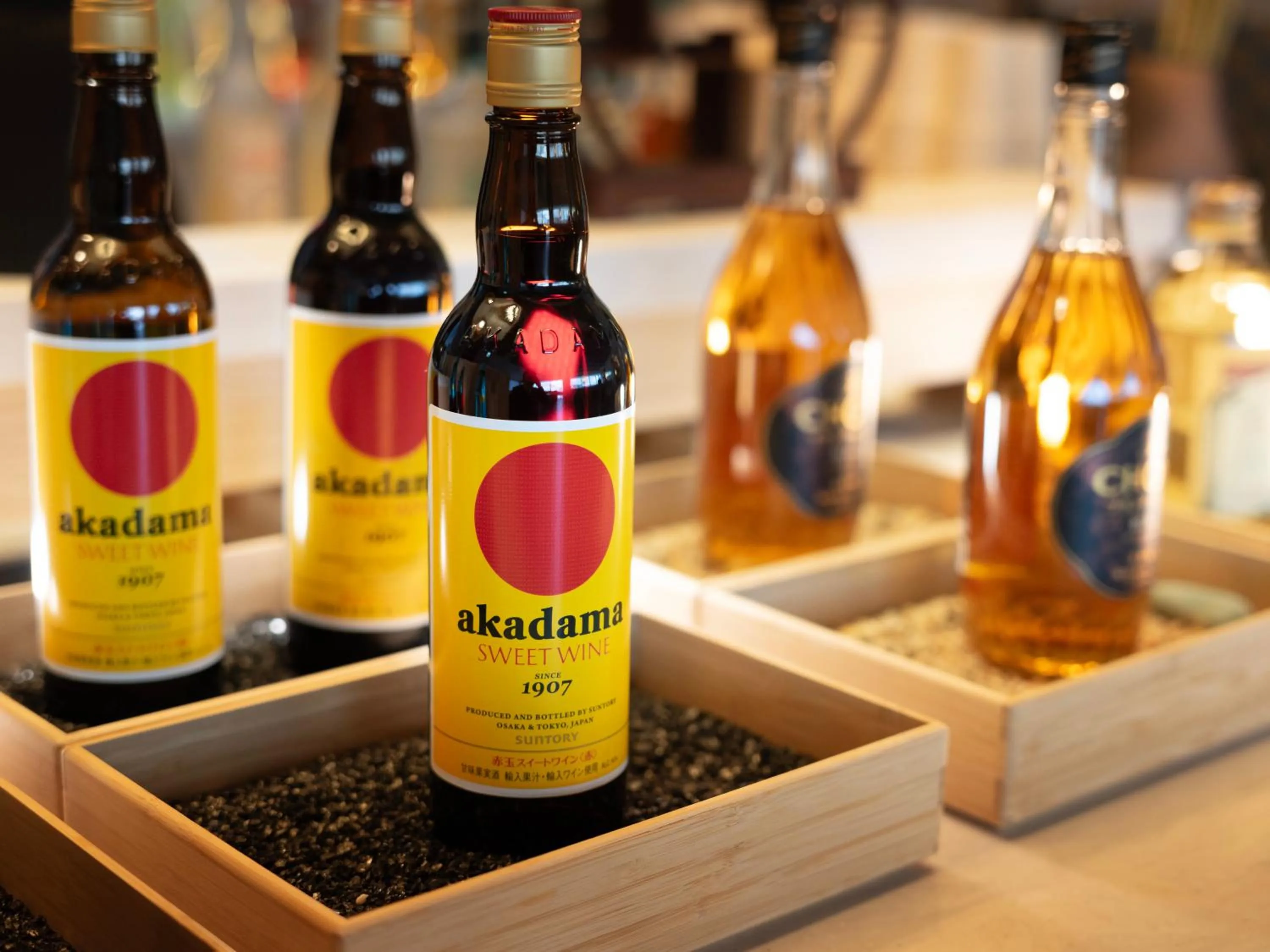 Super Hotel Premier JR Nara Eki