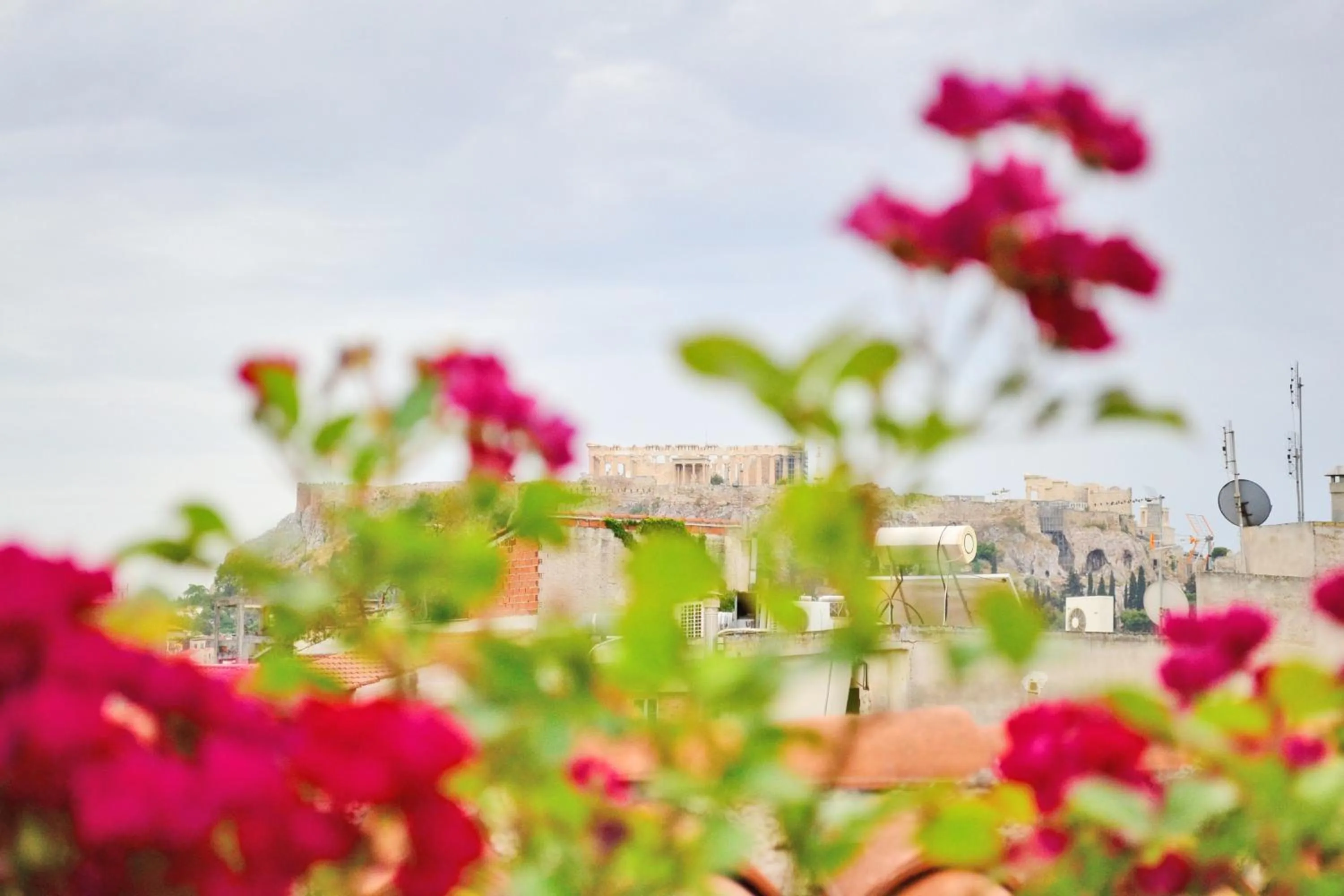 Balcony/Terrace in City Circus Athens
