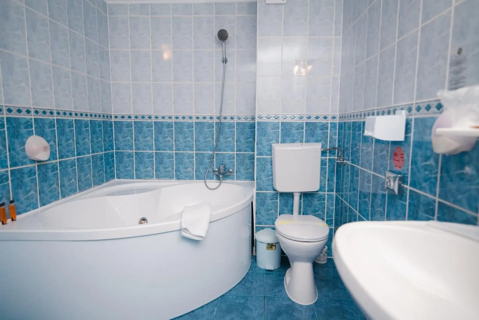 Bathroom in Hotel Fantanita Haiducului