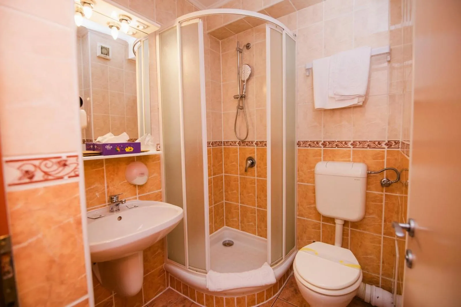 Bathroom in Hotel Fantanita Haiducului