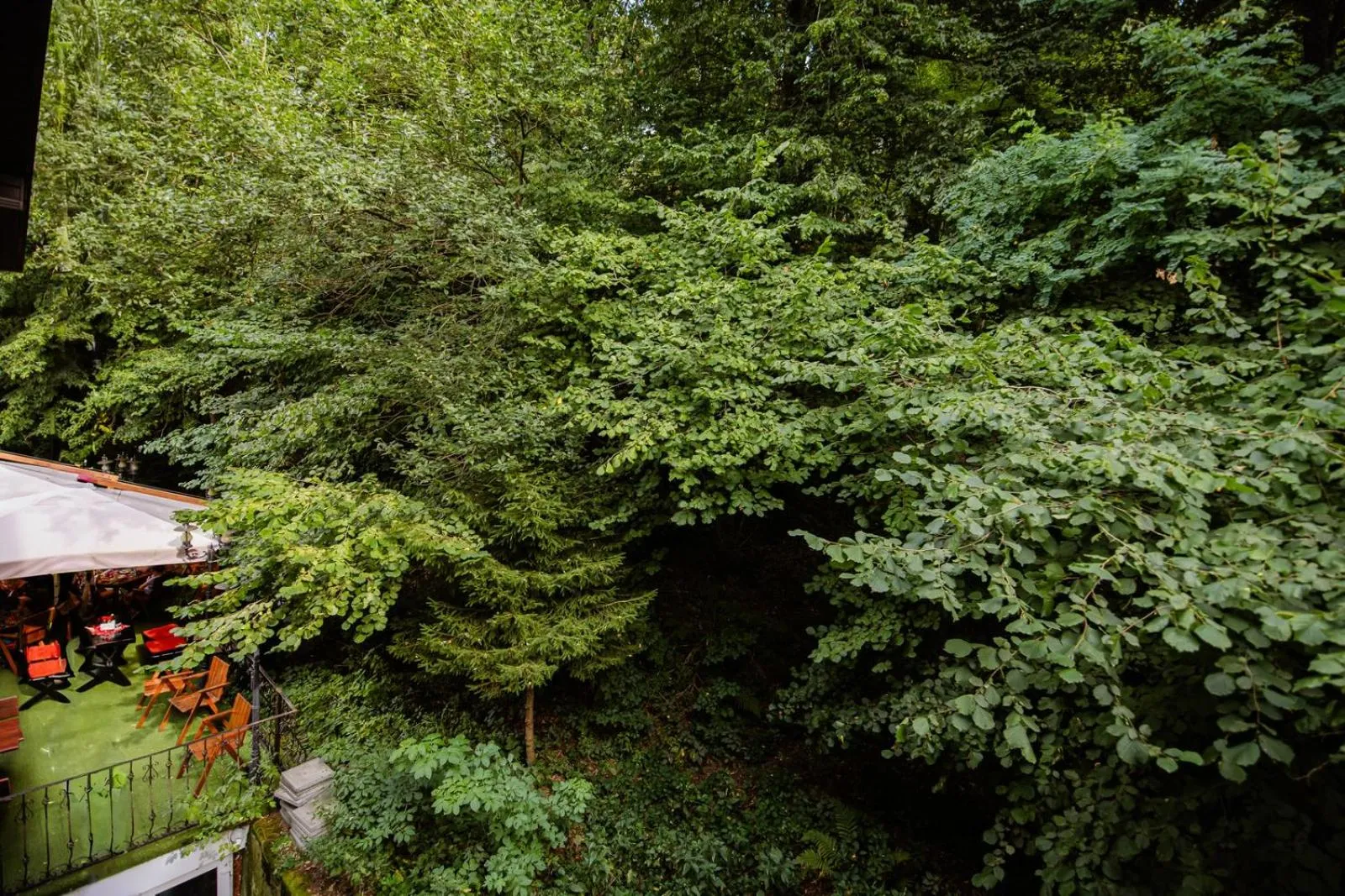 View (from property/room) in Hotel Fantanita Haiducului