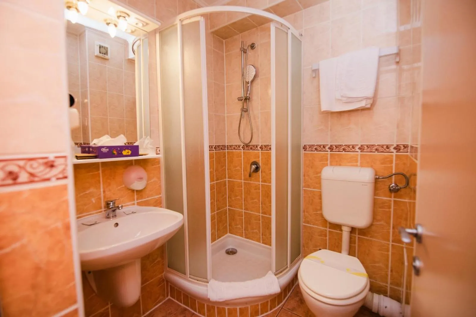 Bathroom in Hotel Fantanita Haiducului