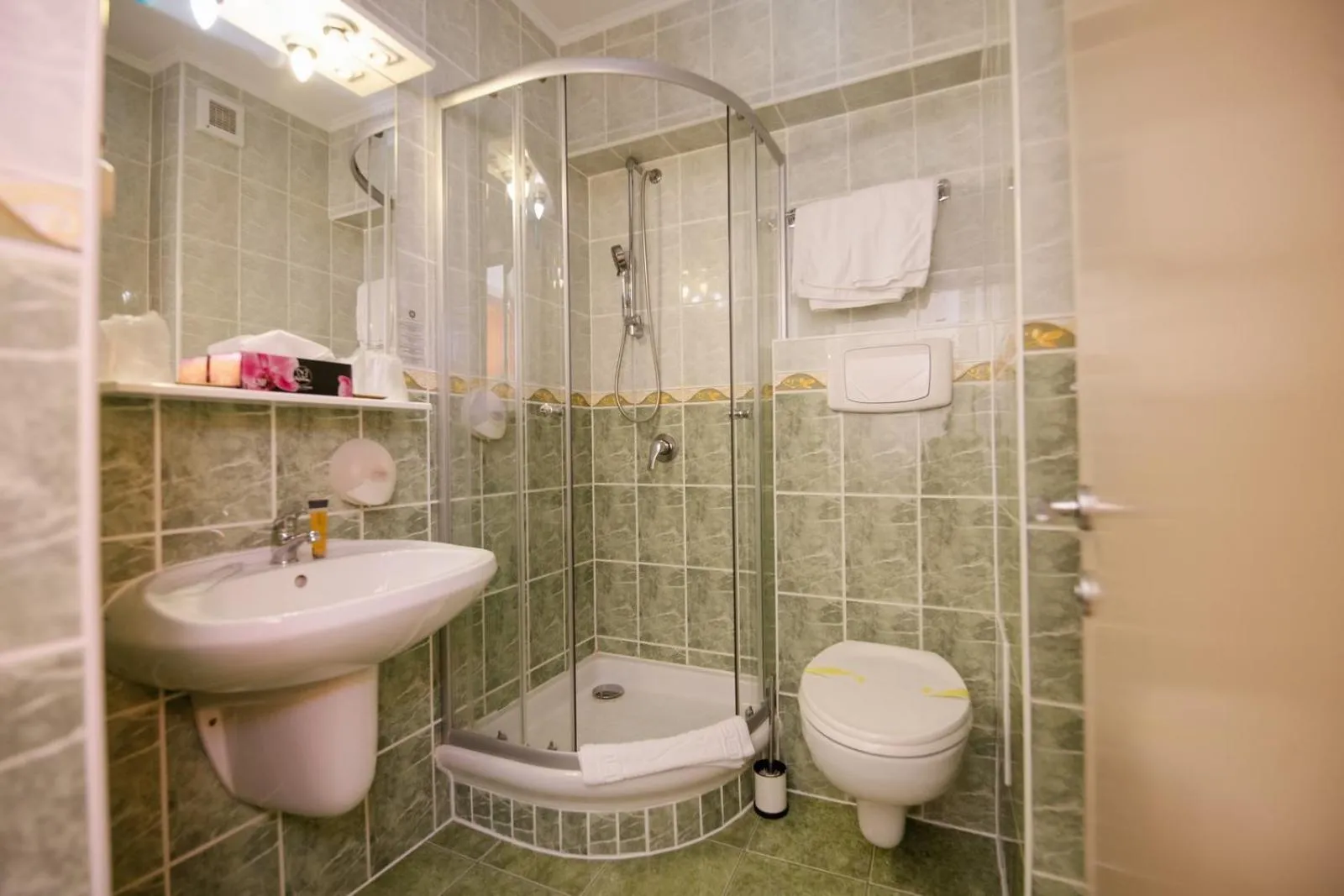 Bathroom in Hotel Fantanita Haiducului