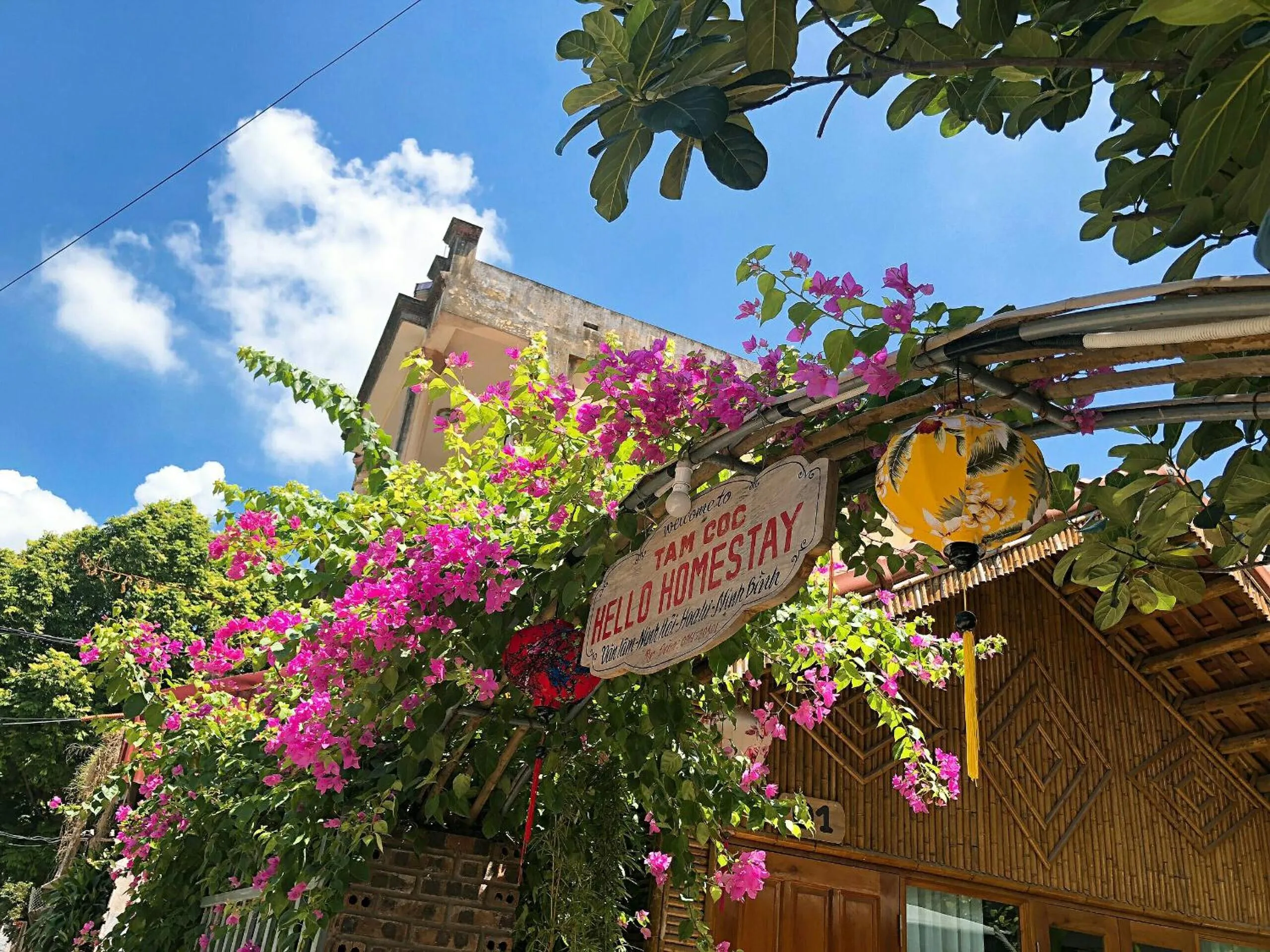 Day in Tam Coc Hello Homestay