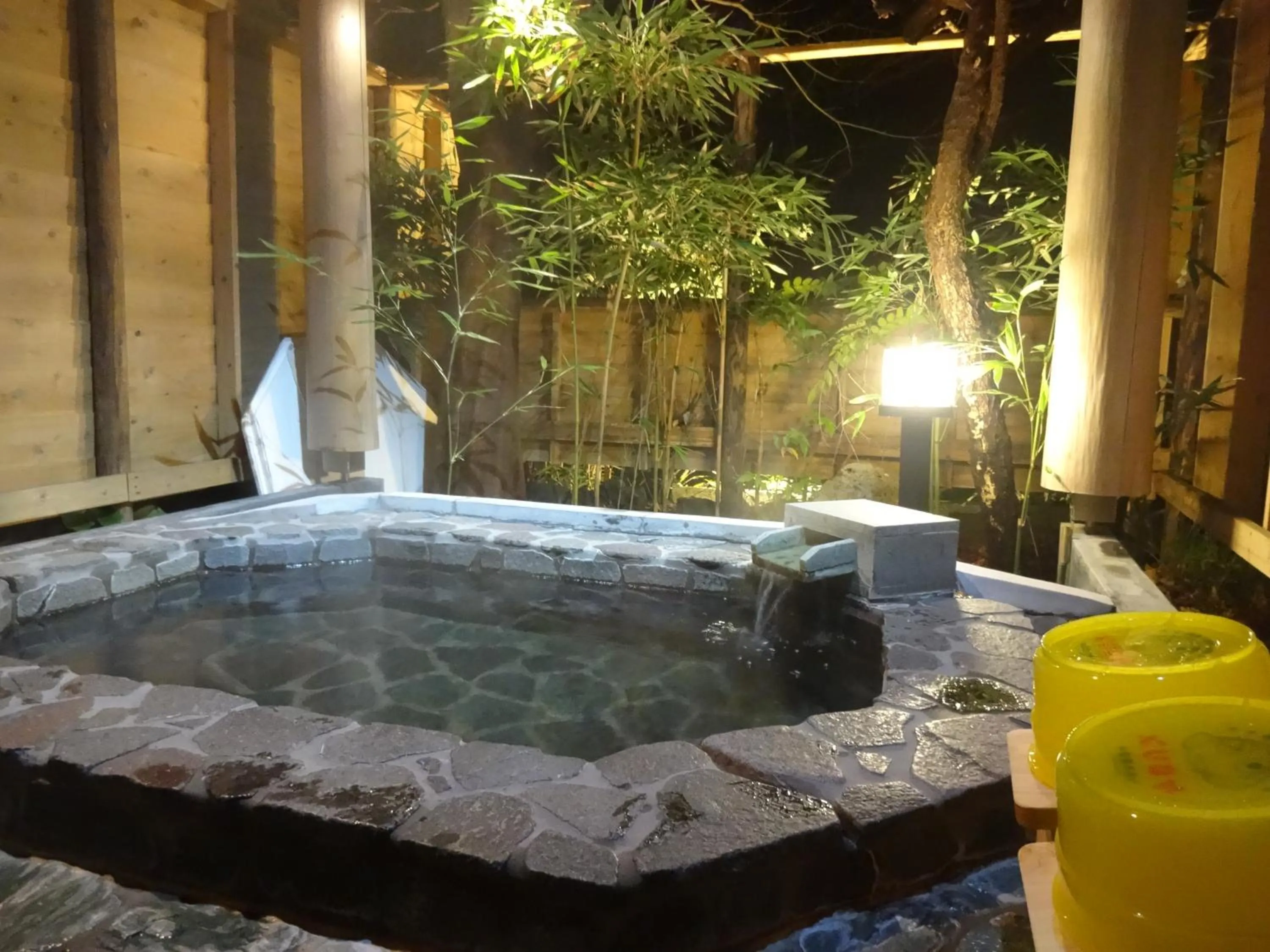 IZUNA INN & SPA - the veggie delights