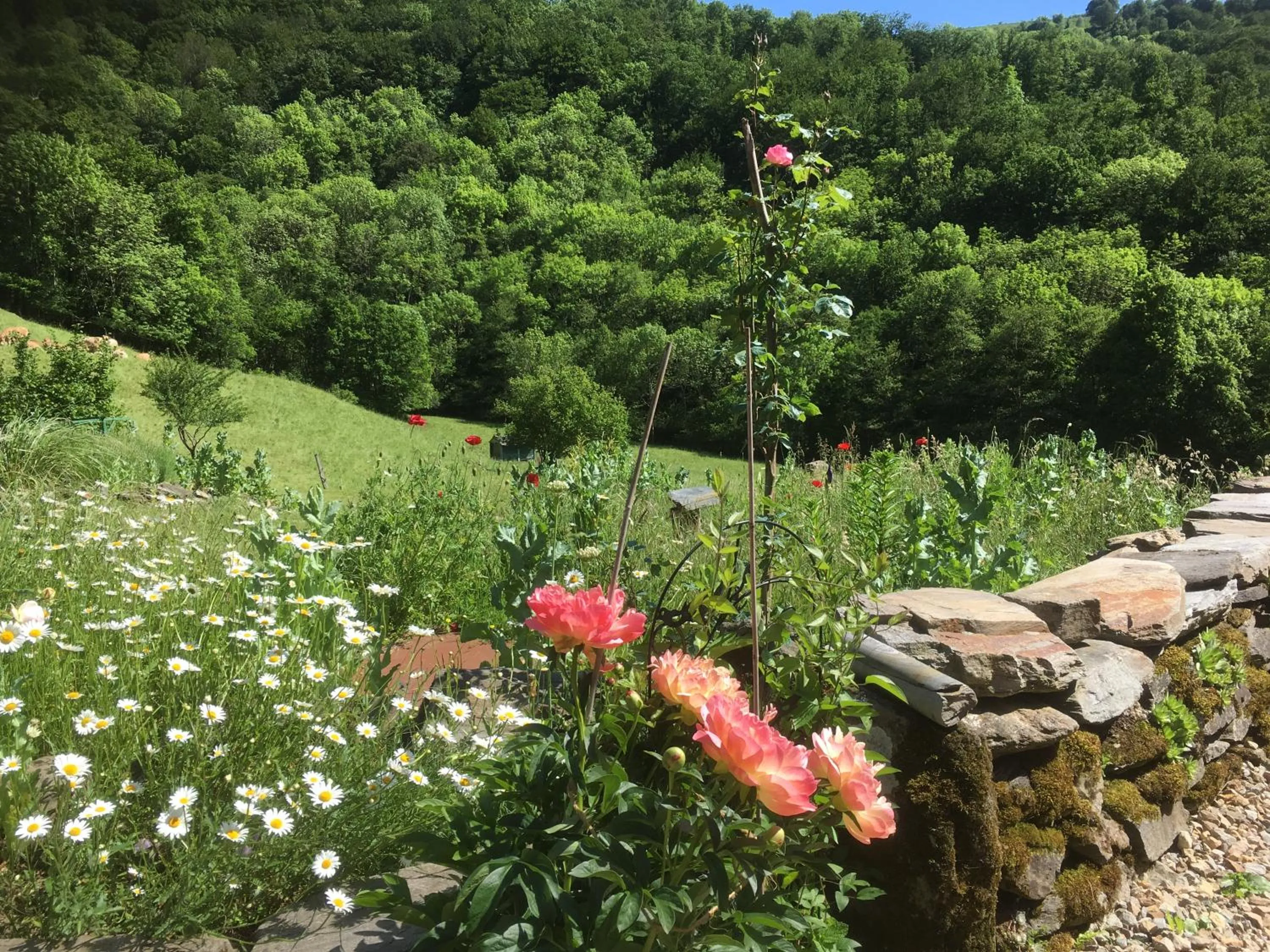 On site in Chambres d'hôtes Le Lepadou-Bas
