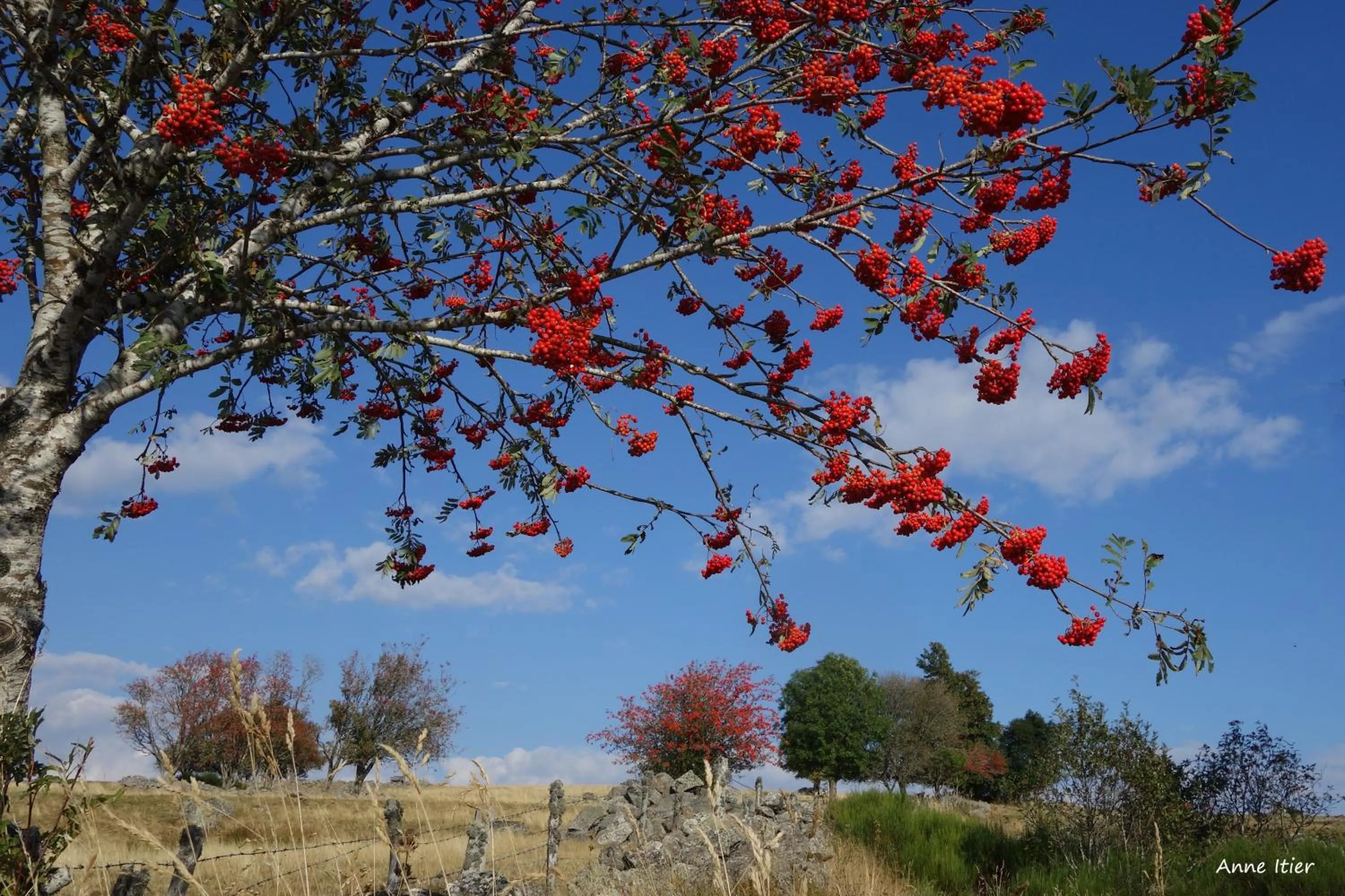 Spring in Chambres d'hôtes Le Lepadou-Bas