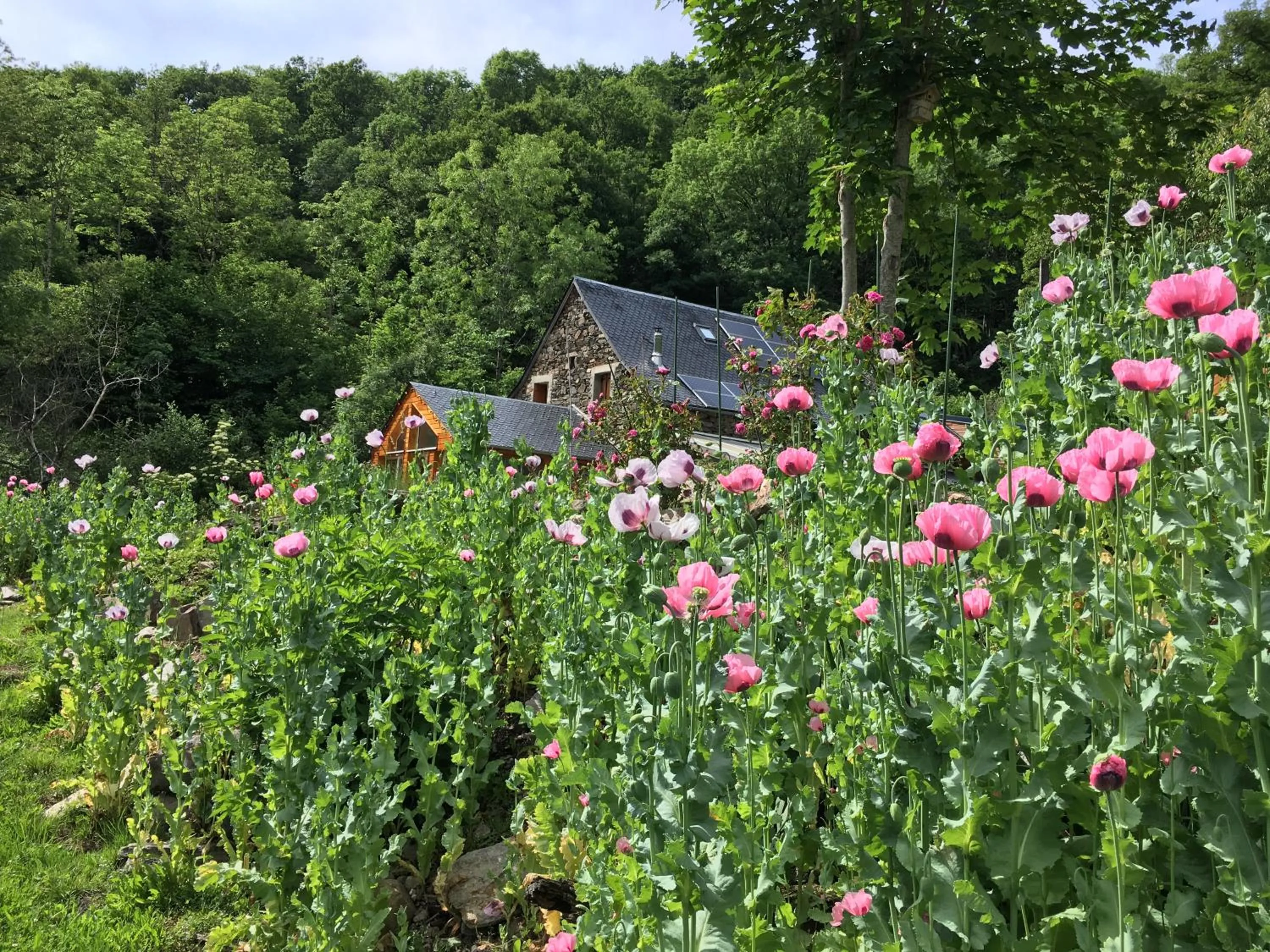 Facade/entrance in Chambres d'hôtes Le Lepadou-Bas
