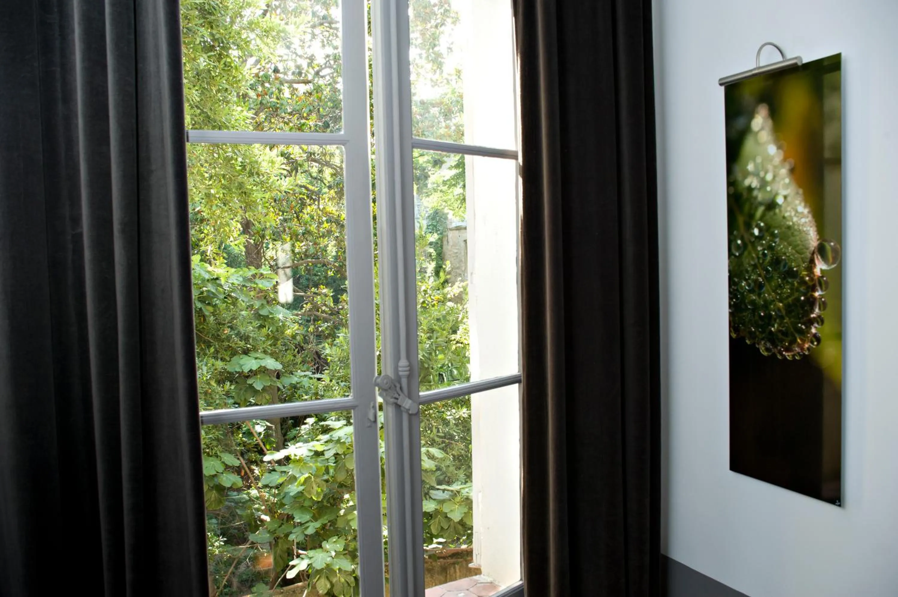 Garden view in Maison Dauphine