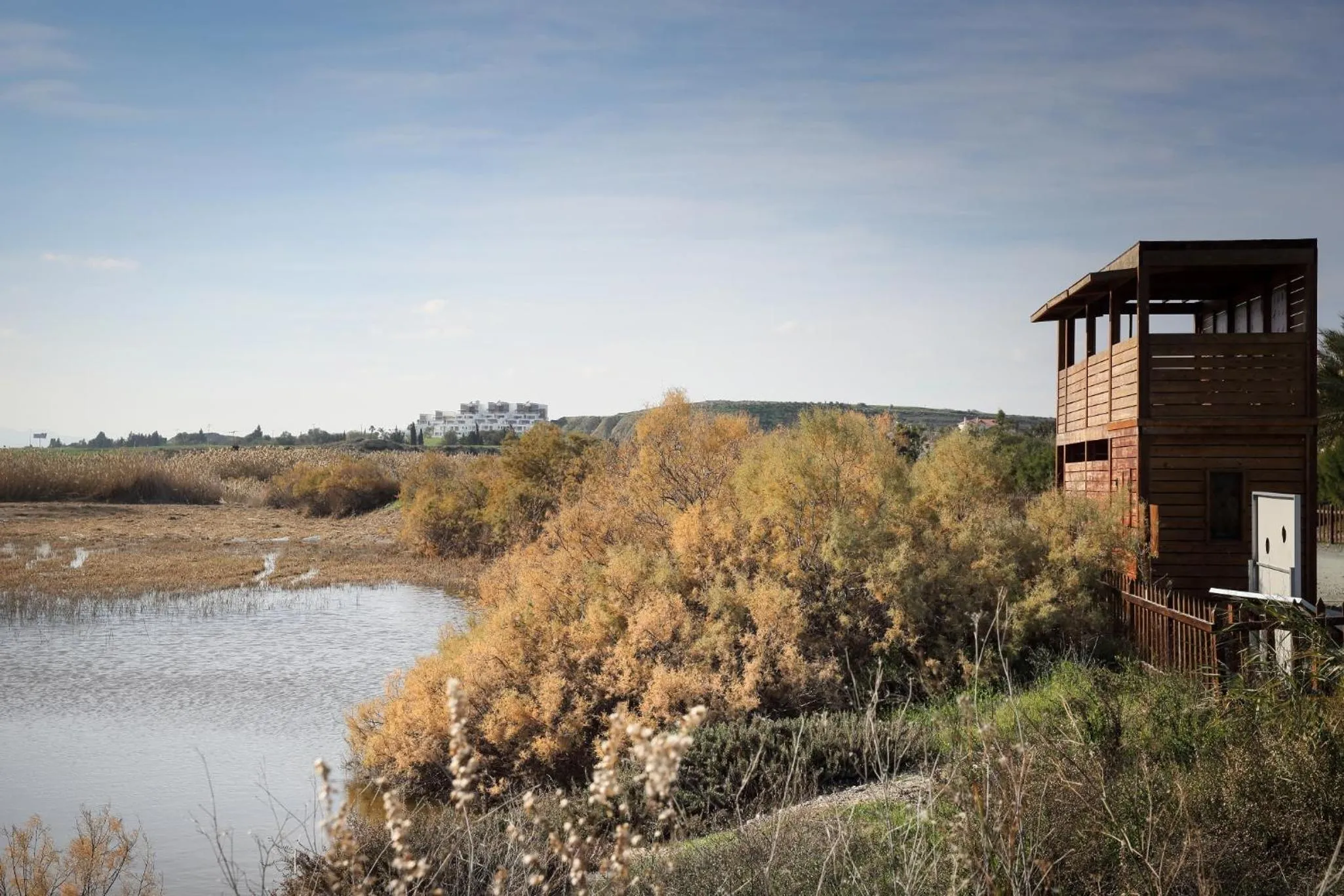 Nearby landmark in Lithos Studios