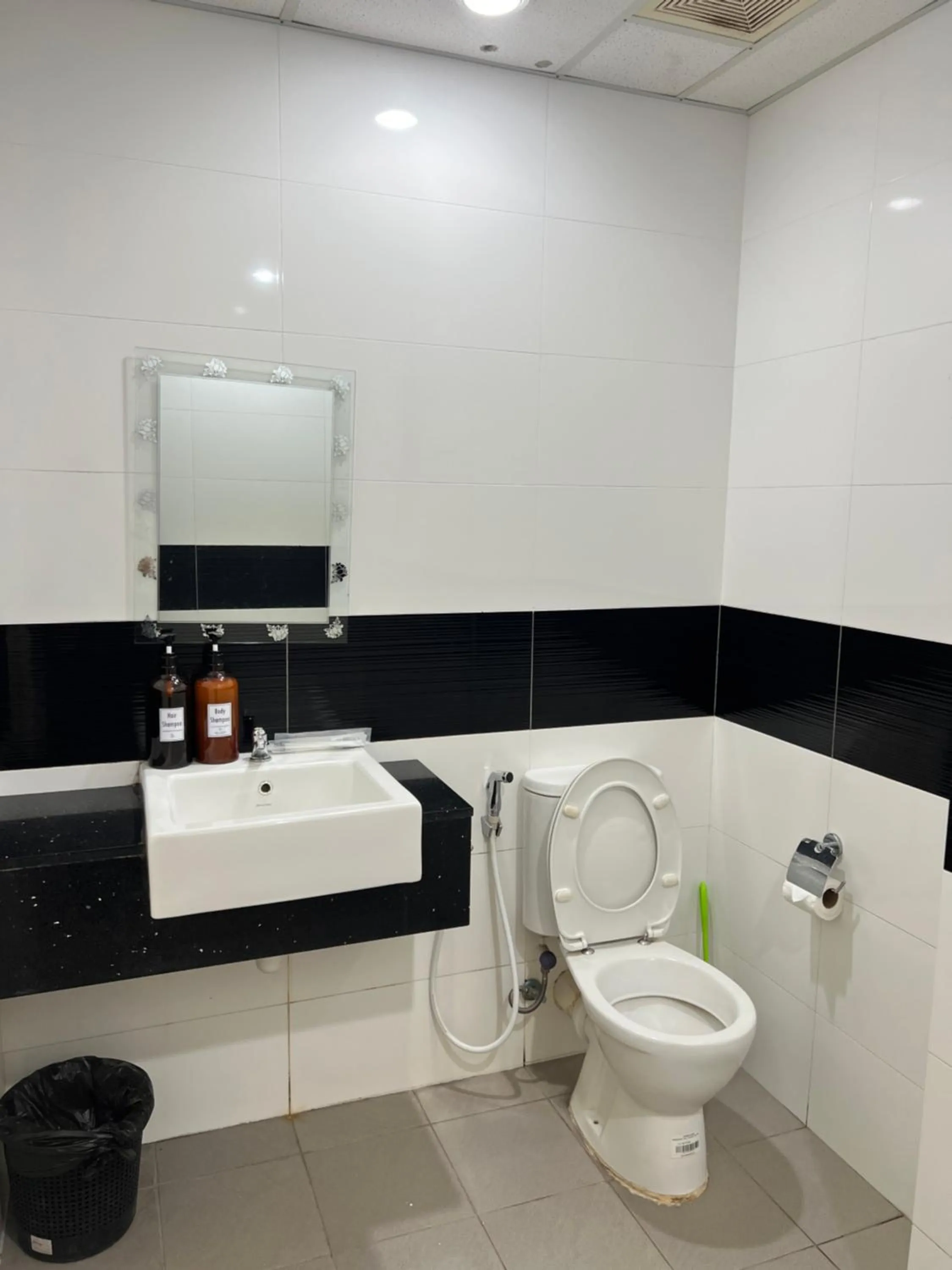 Toilet in Mansion One by Sky Hive