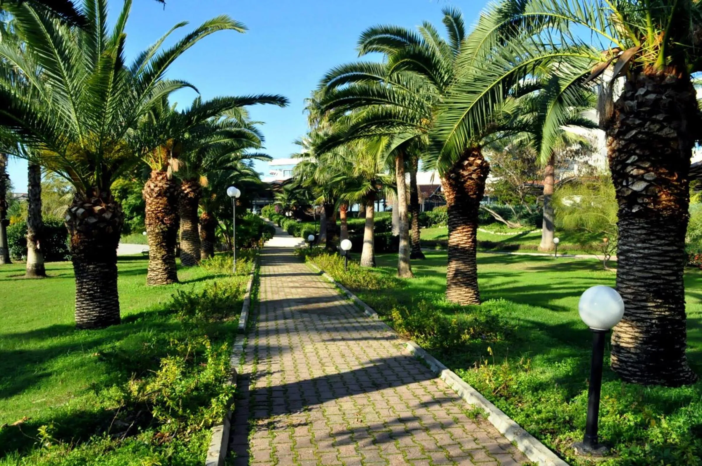 Garden in Starlight Resort Hotel
