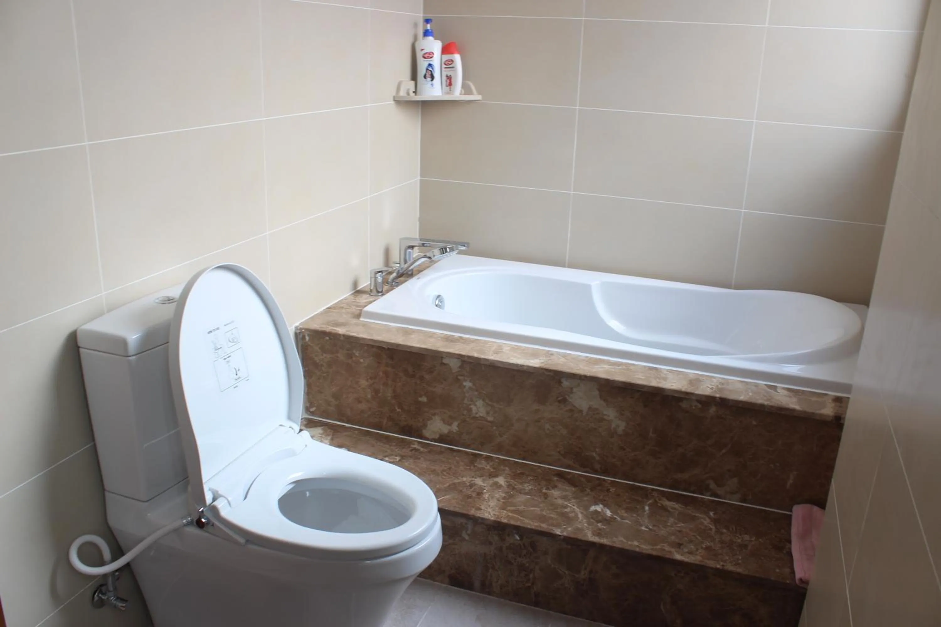 SKYHOMES - Tan Son Nhat Airport Homestay