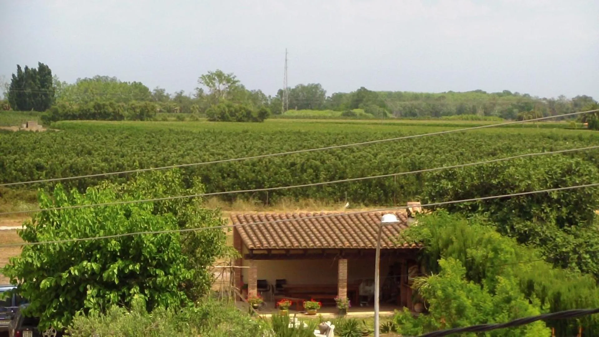 Natural landscape in La Masia