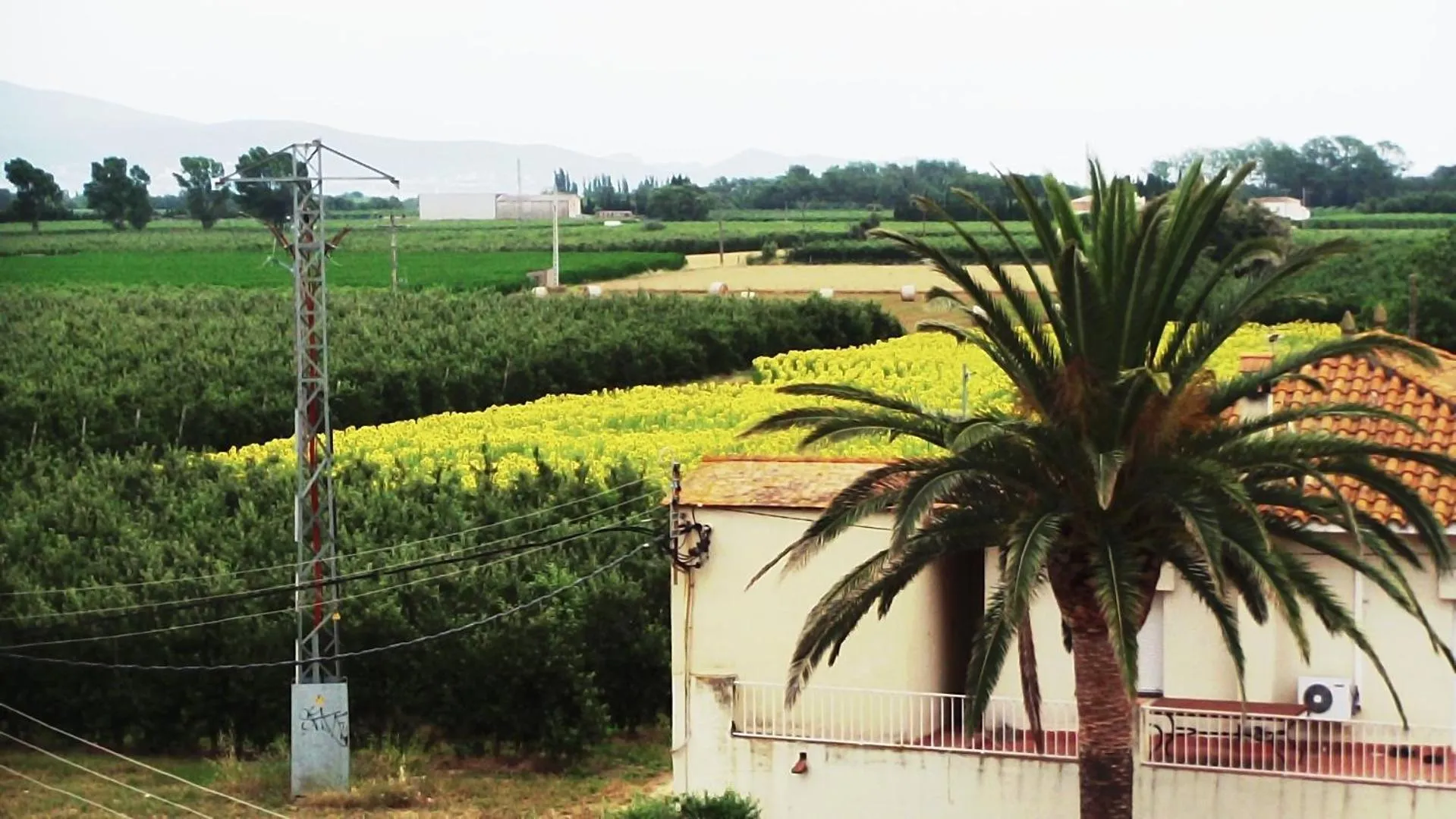 Natural landscape in La Masia
