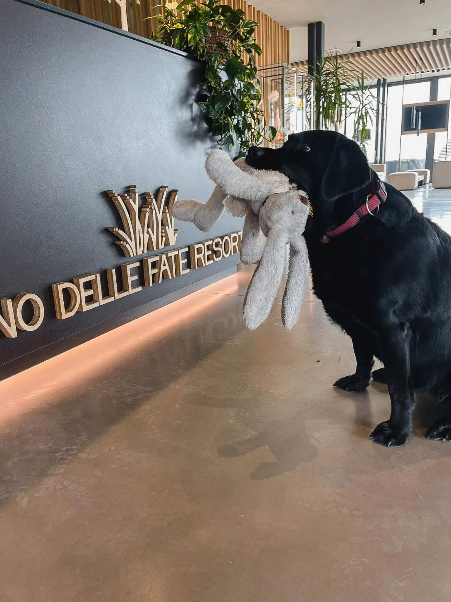 Pets in Lino delle Fate Eco Resort