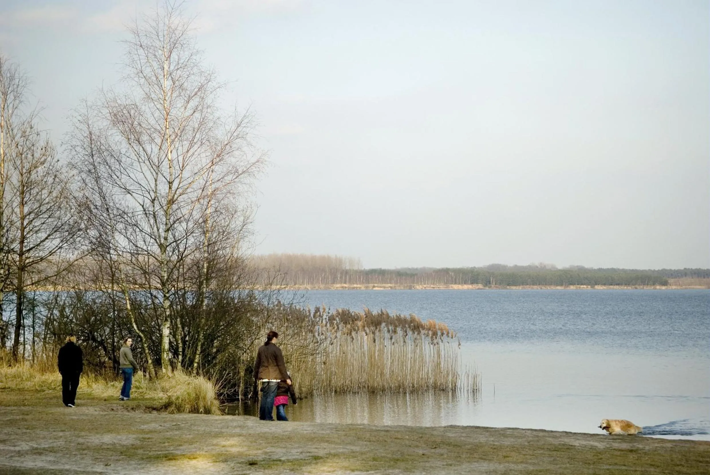 Natural landscape in Hotel Kempense Meren by Sunparks
