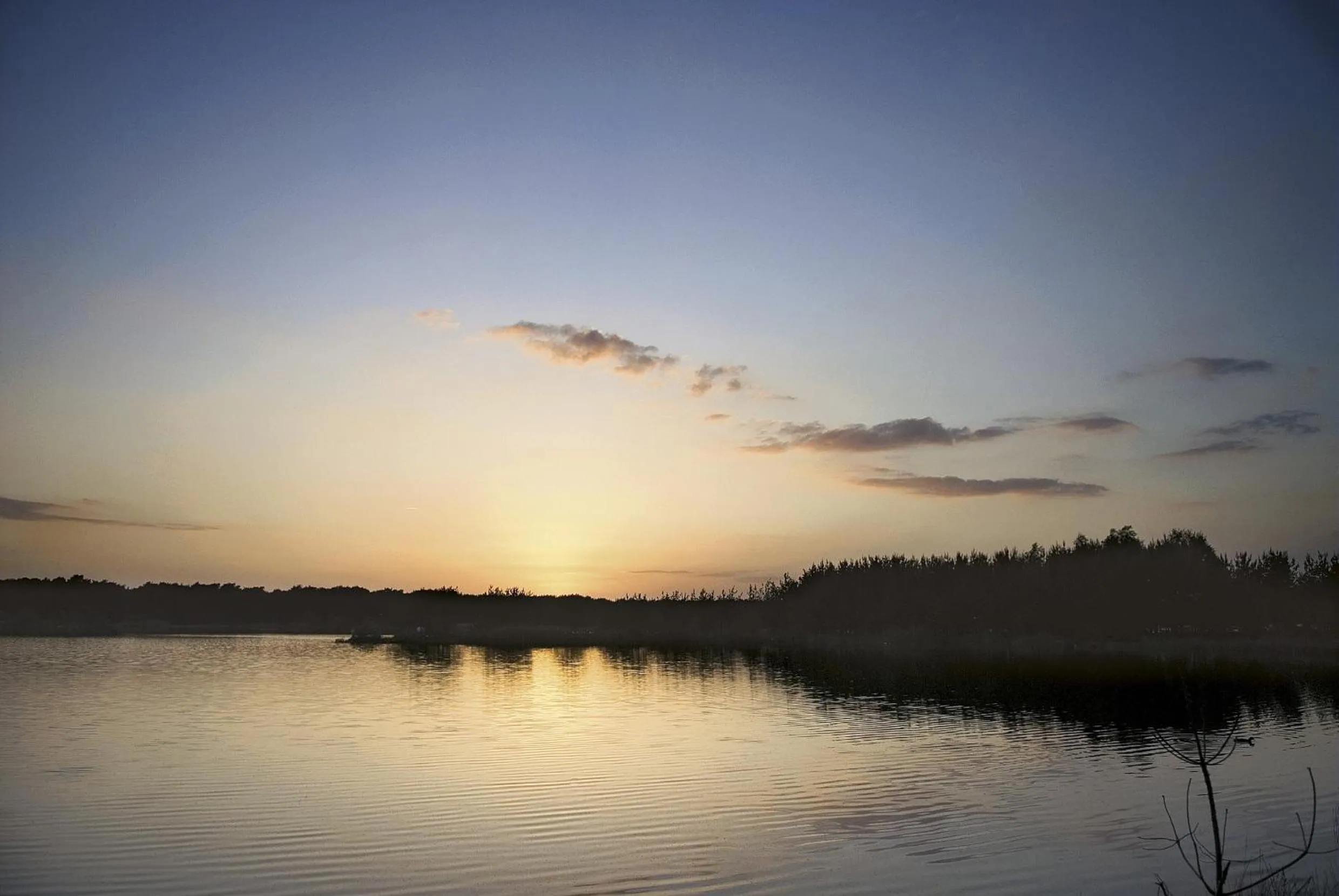 Spring in Hotel Kempense Meren by Sunparks