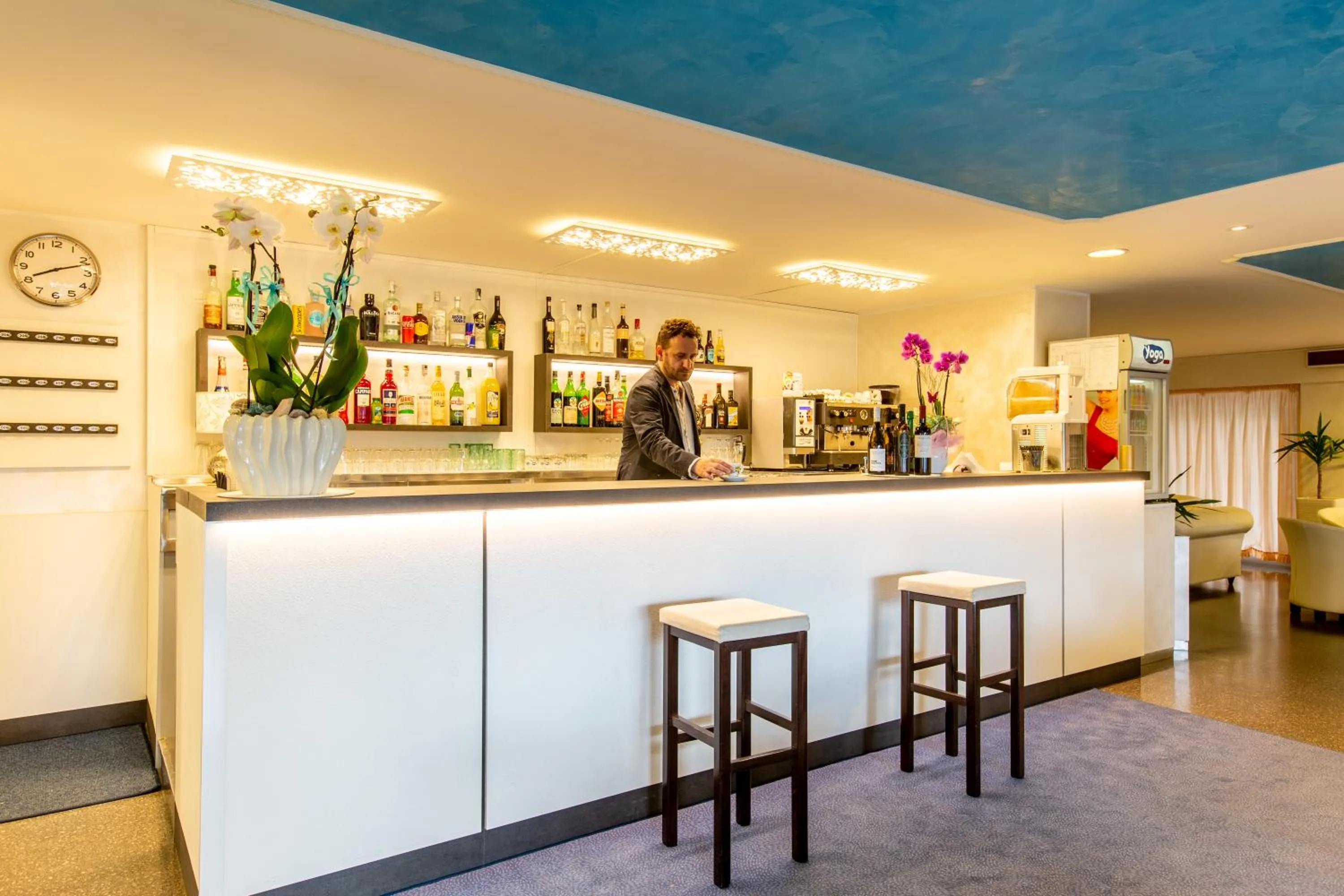 Lounge or bar in Hotel Raffaello