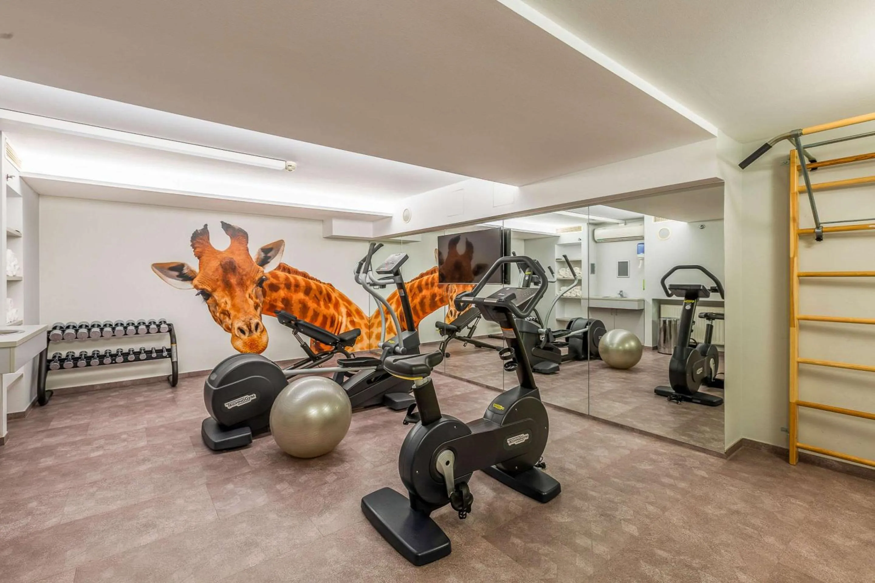Fitness centre/facilities in Quality Hotel Vienna